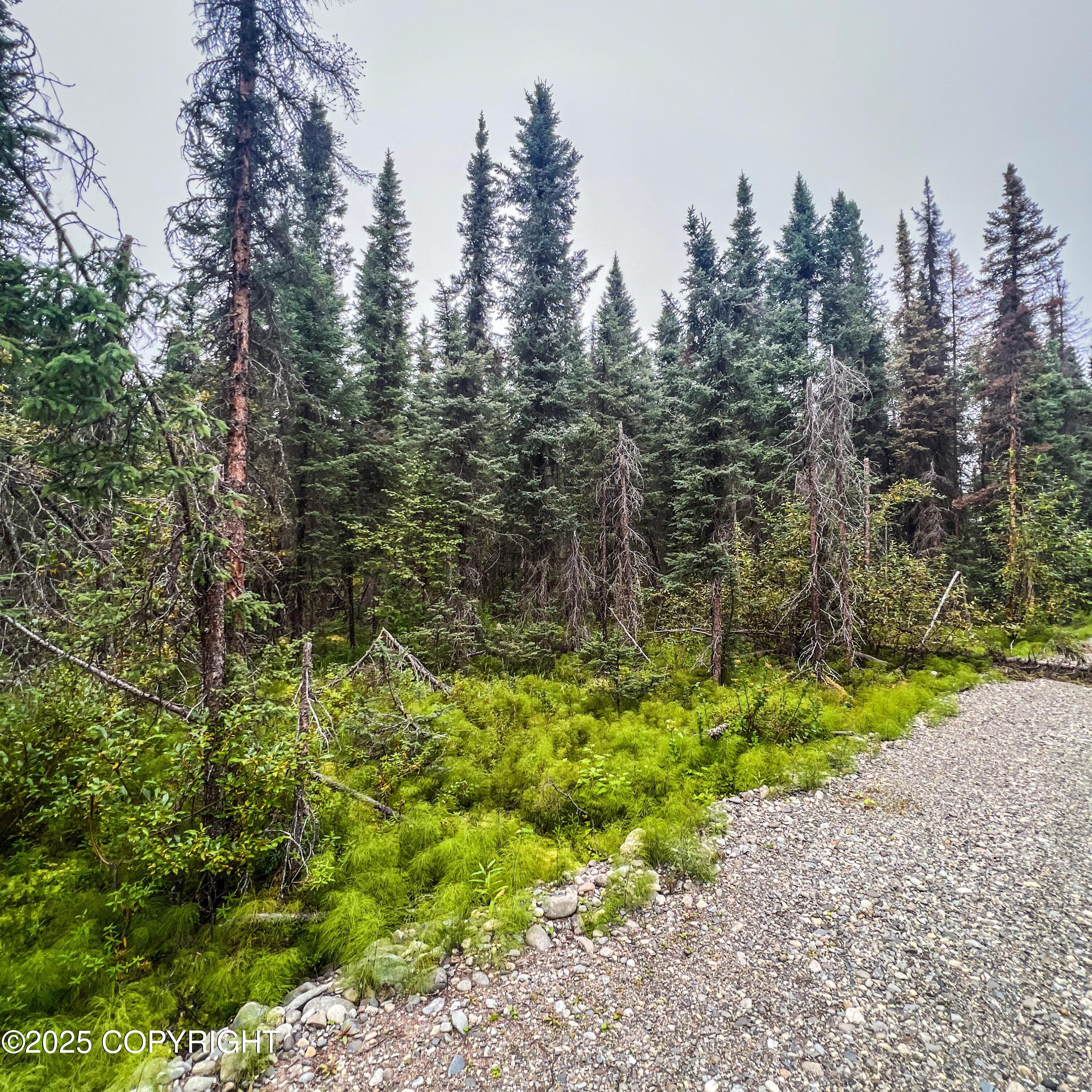 39795 W Parks Highway Property Photo 11