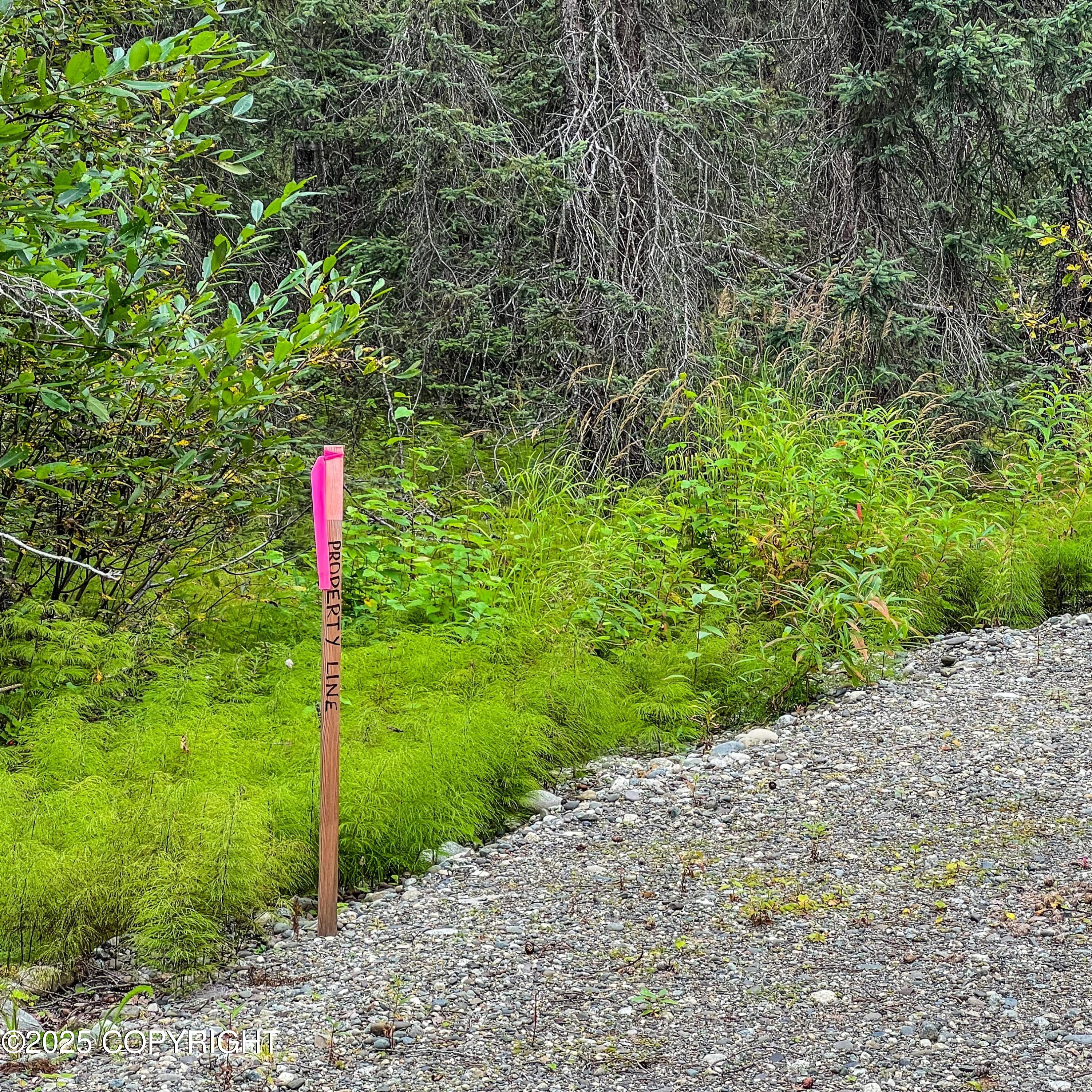 39795 W Parks Highway Property Photo 13