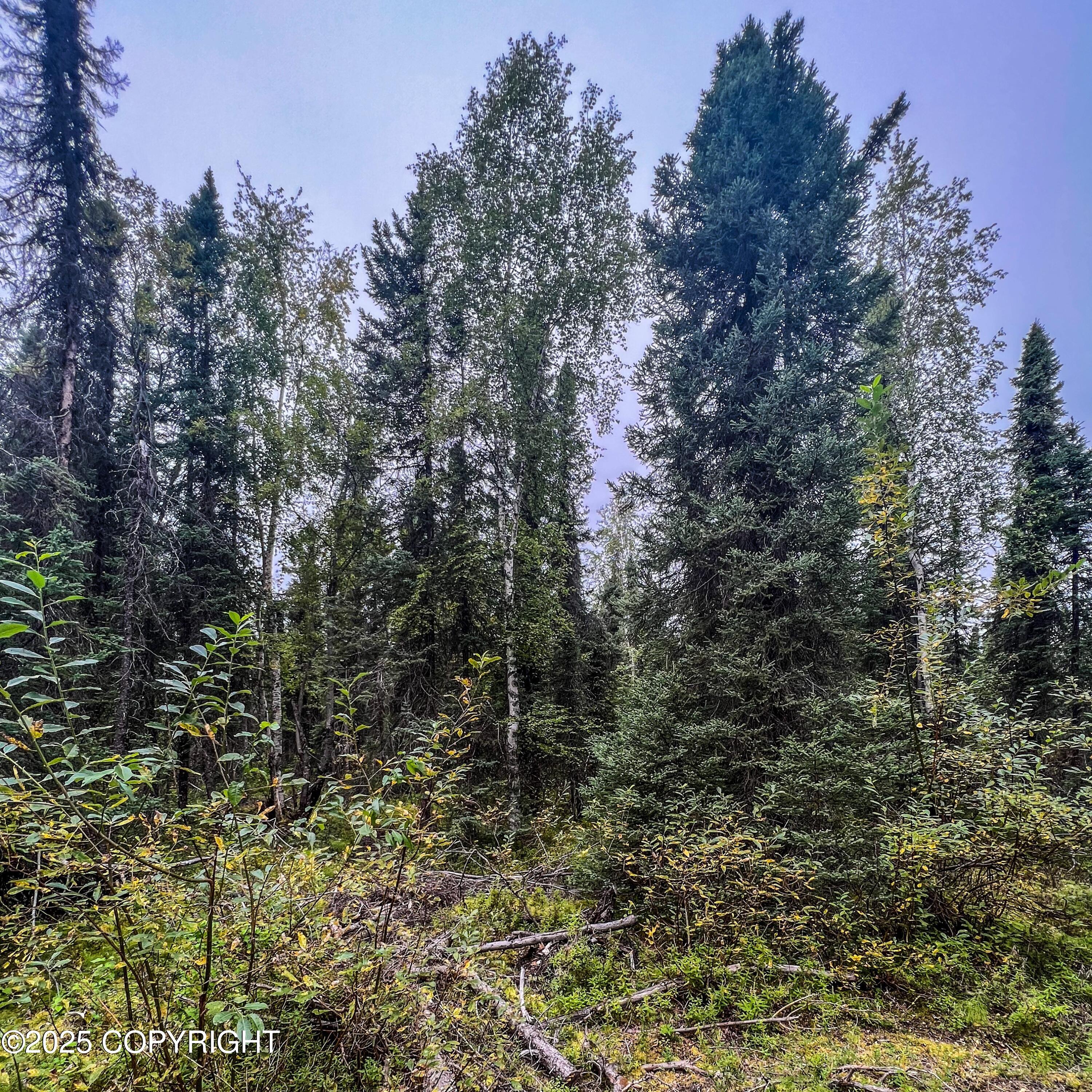 39795 W Parks Highway Property Photo 16
