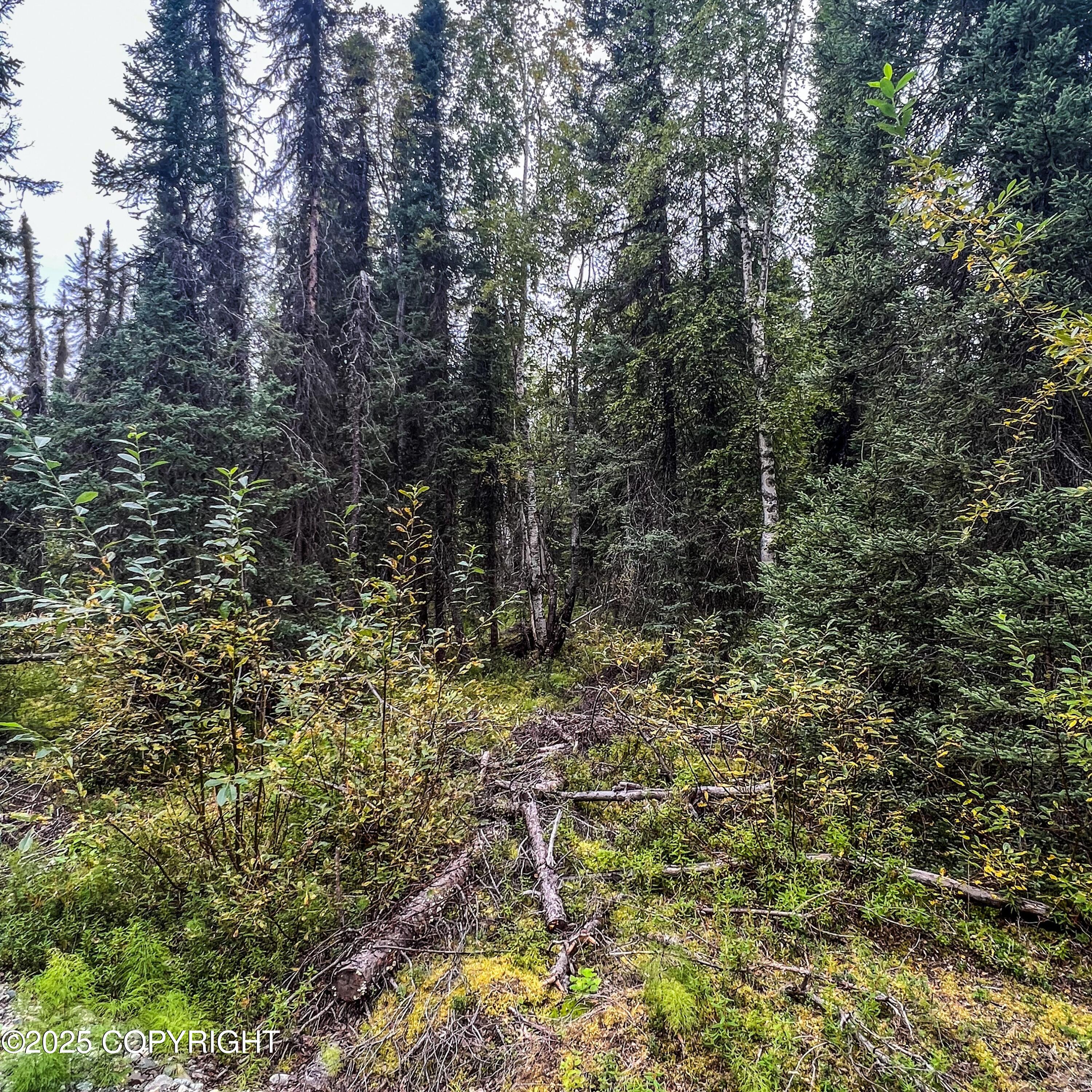 39795 W Parks Highway Property Photo 18