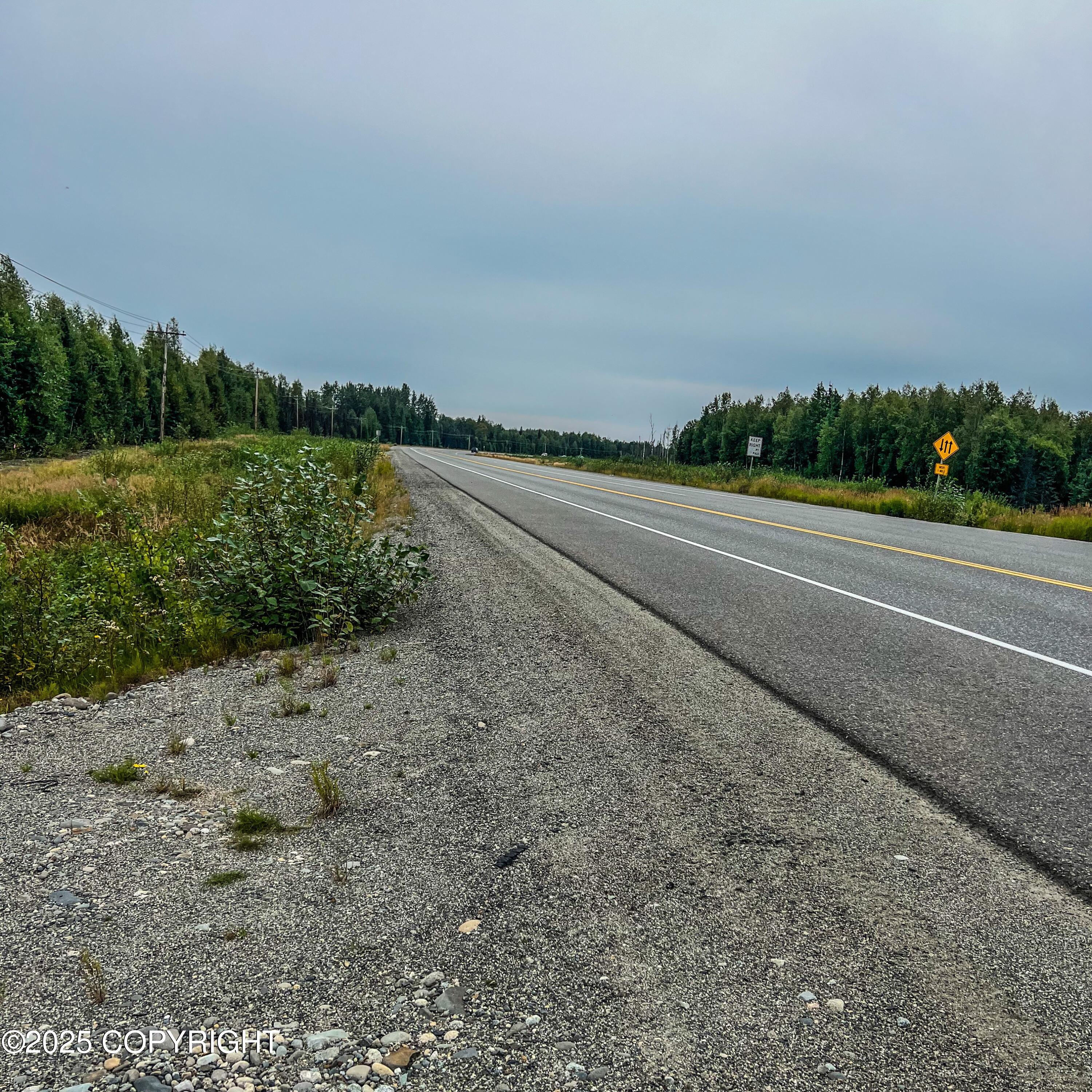 39795 W Parks Highway Property Photo 20