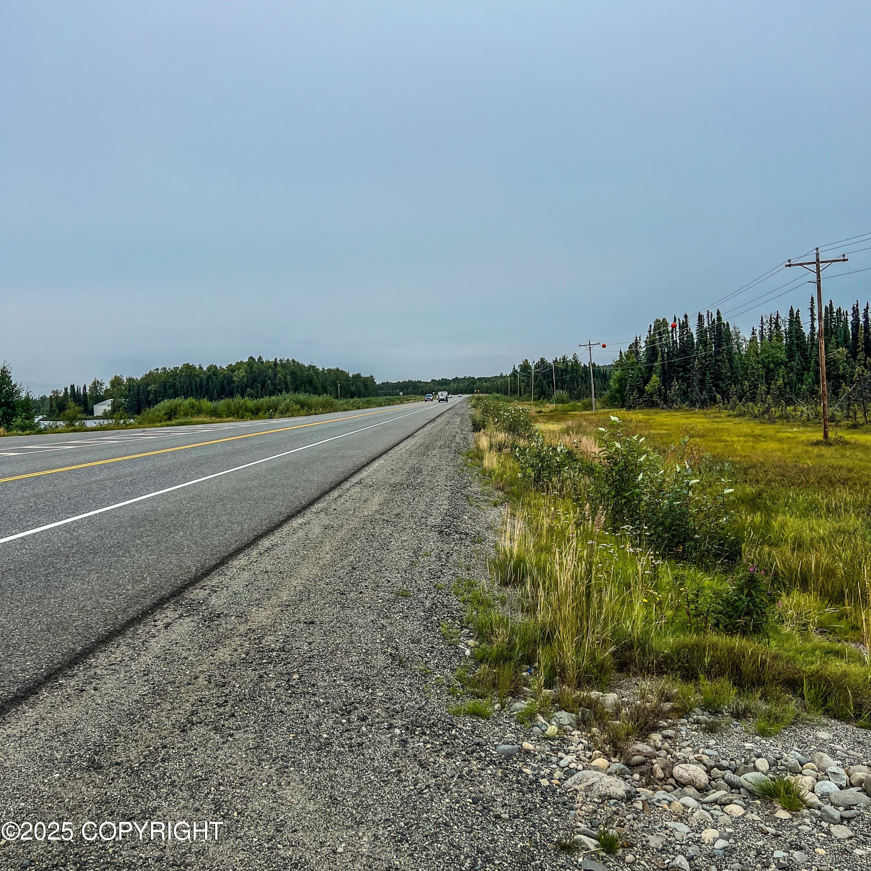 39795 W Parks Highway Property Photo 21