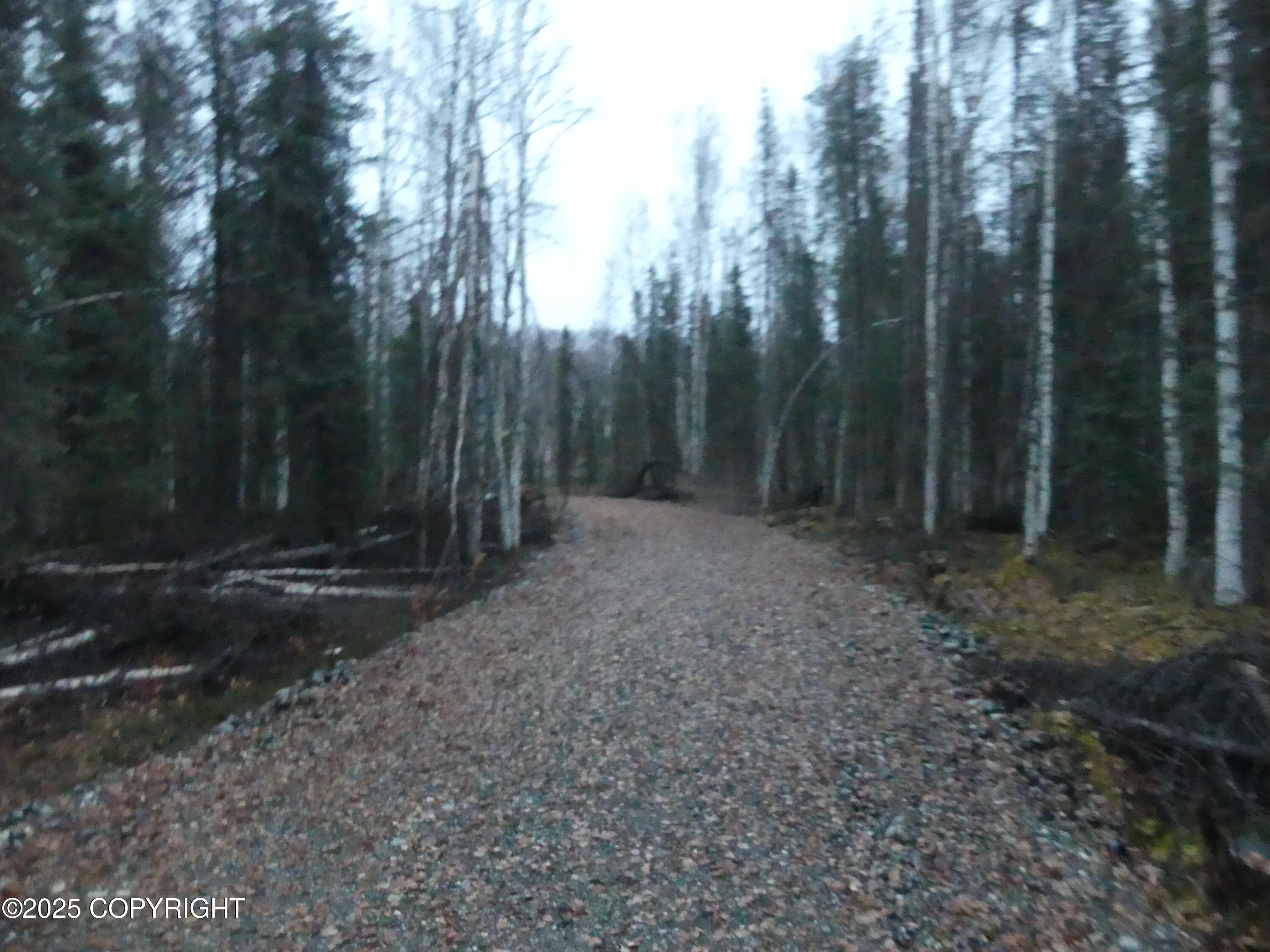 39795 W Parks Highway Property Photo 23