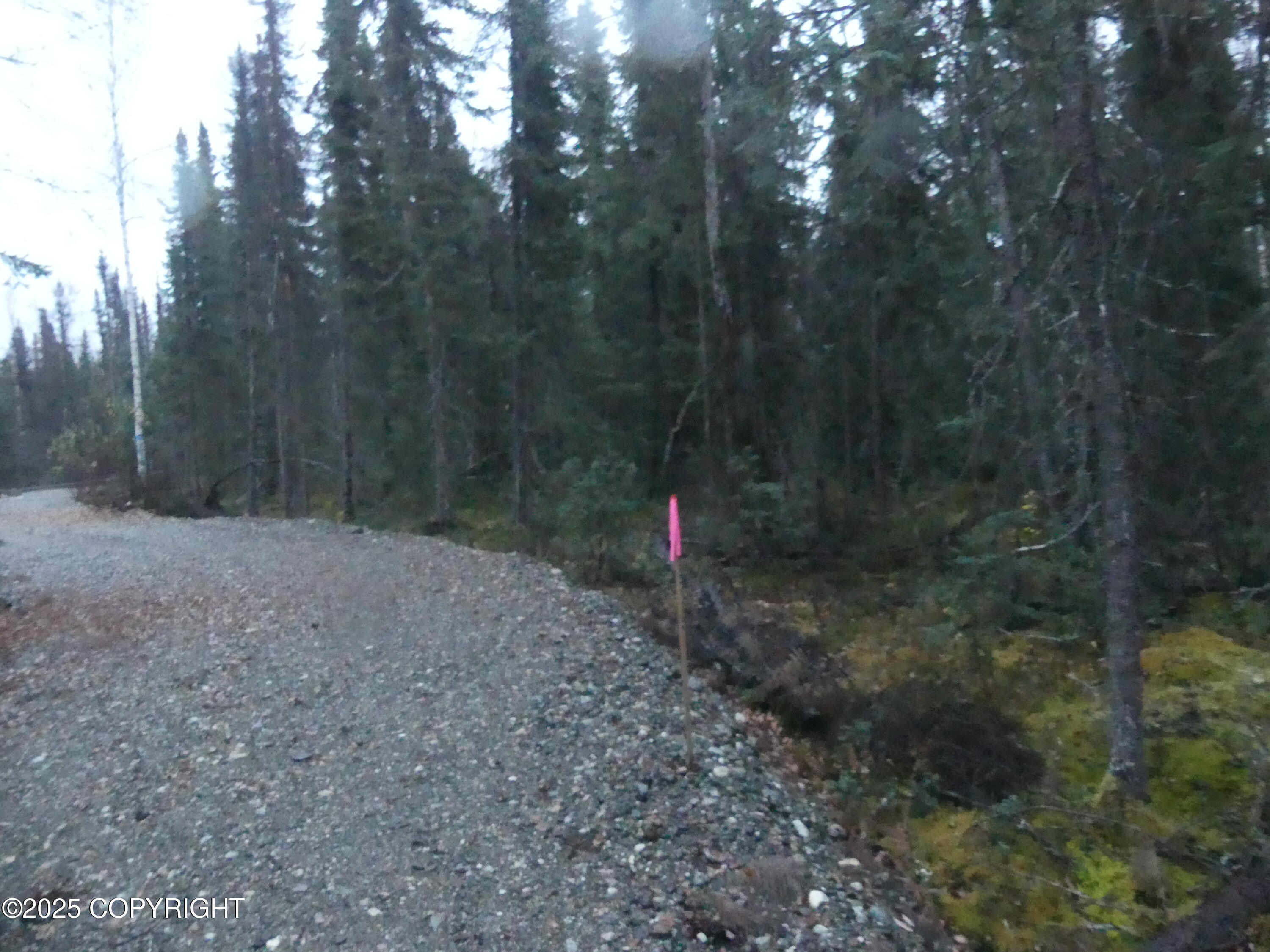 39795 W Parks Highway Property Photo 35
