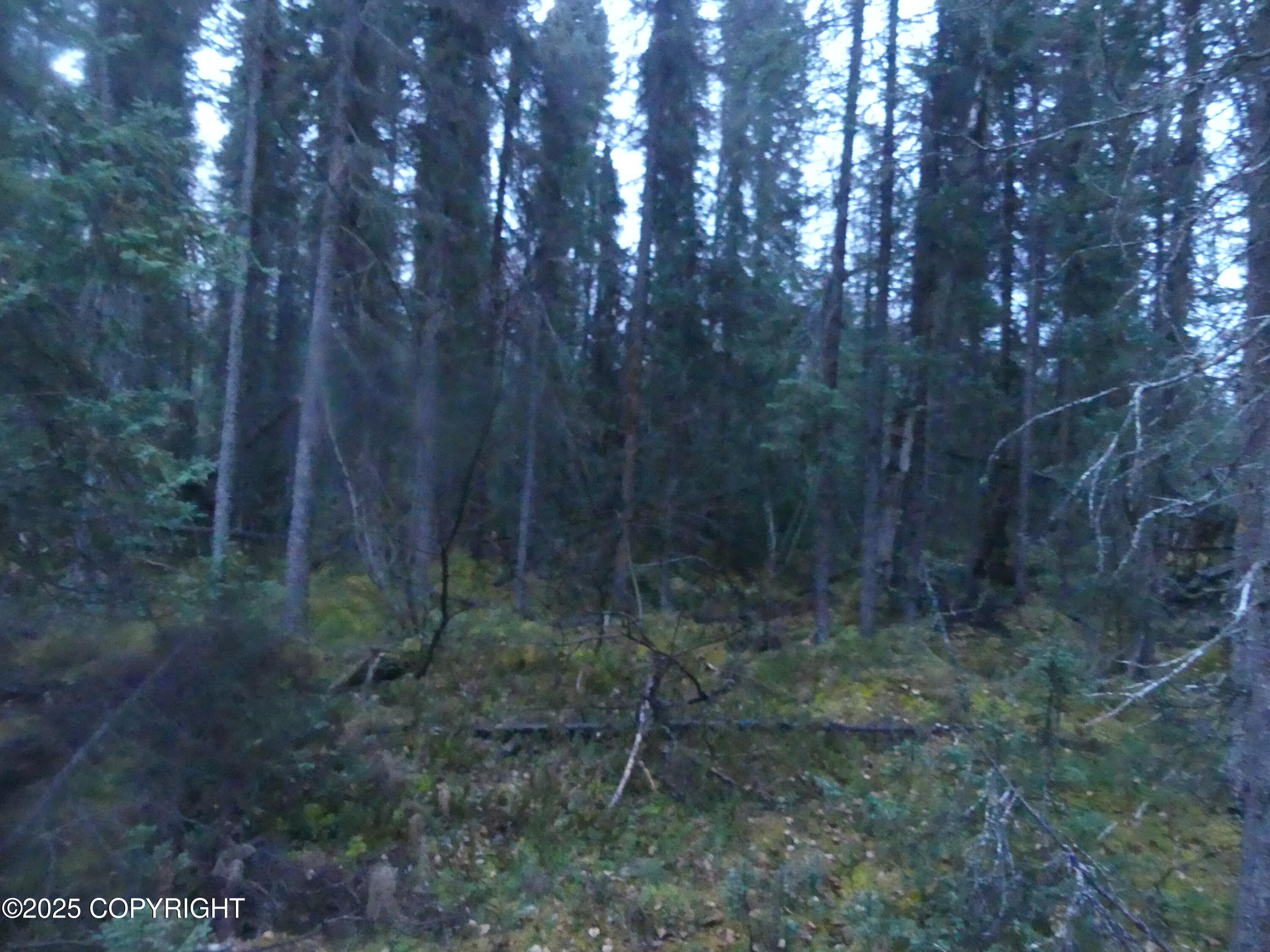 39795 W Parks Highway Property Photo 37