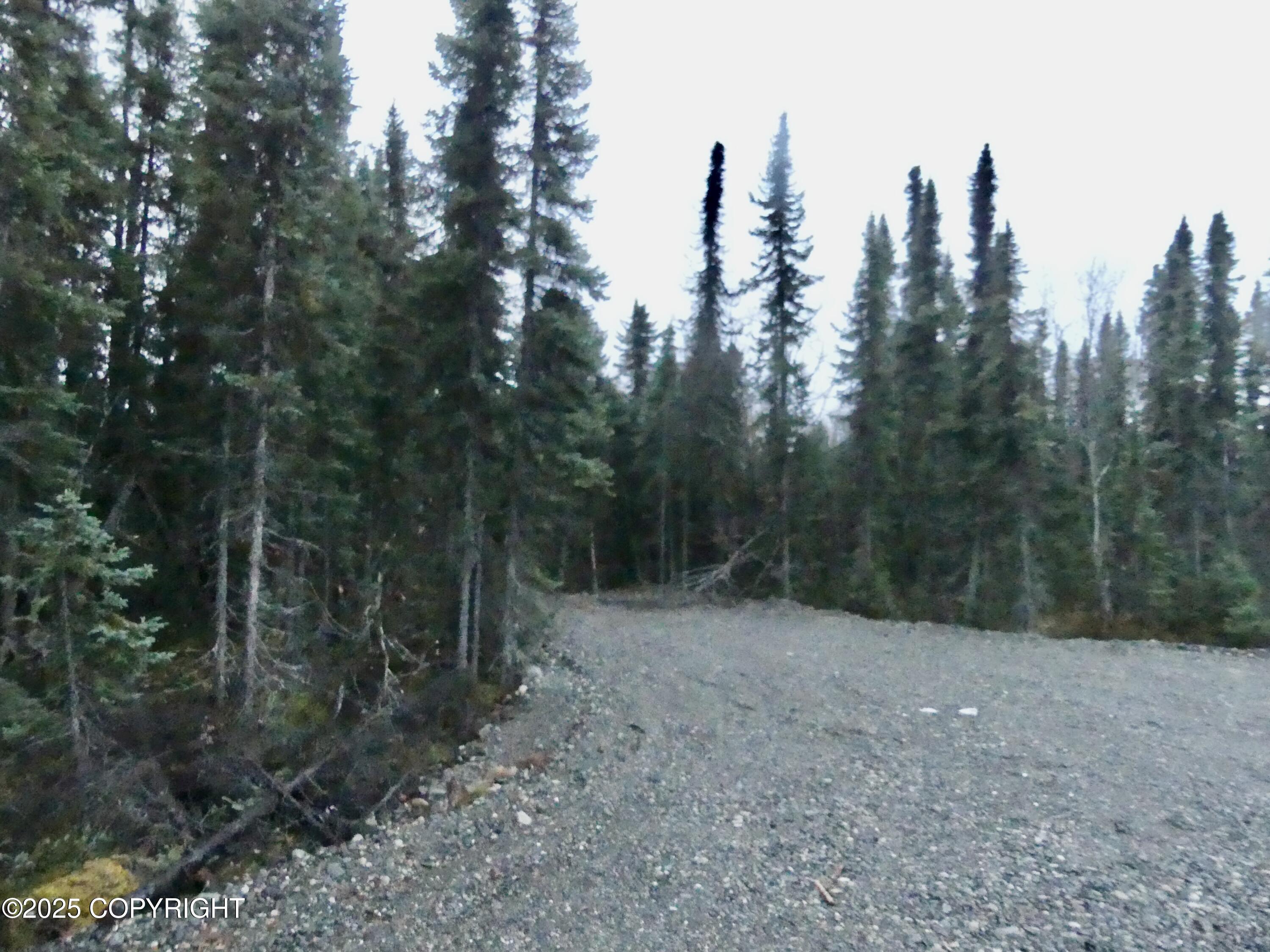 39795 W Parks Highway Property Photo 39