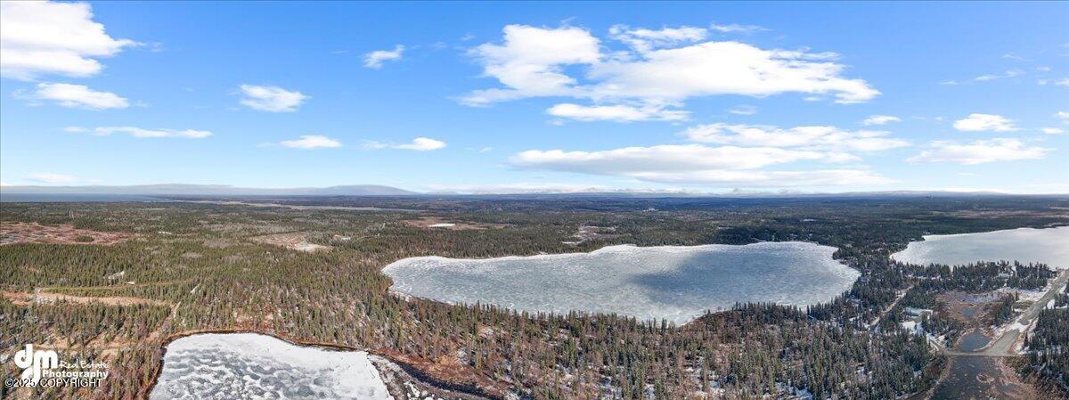28784 N Cohoe Loop Road Property Photo 20