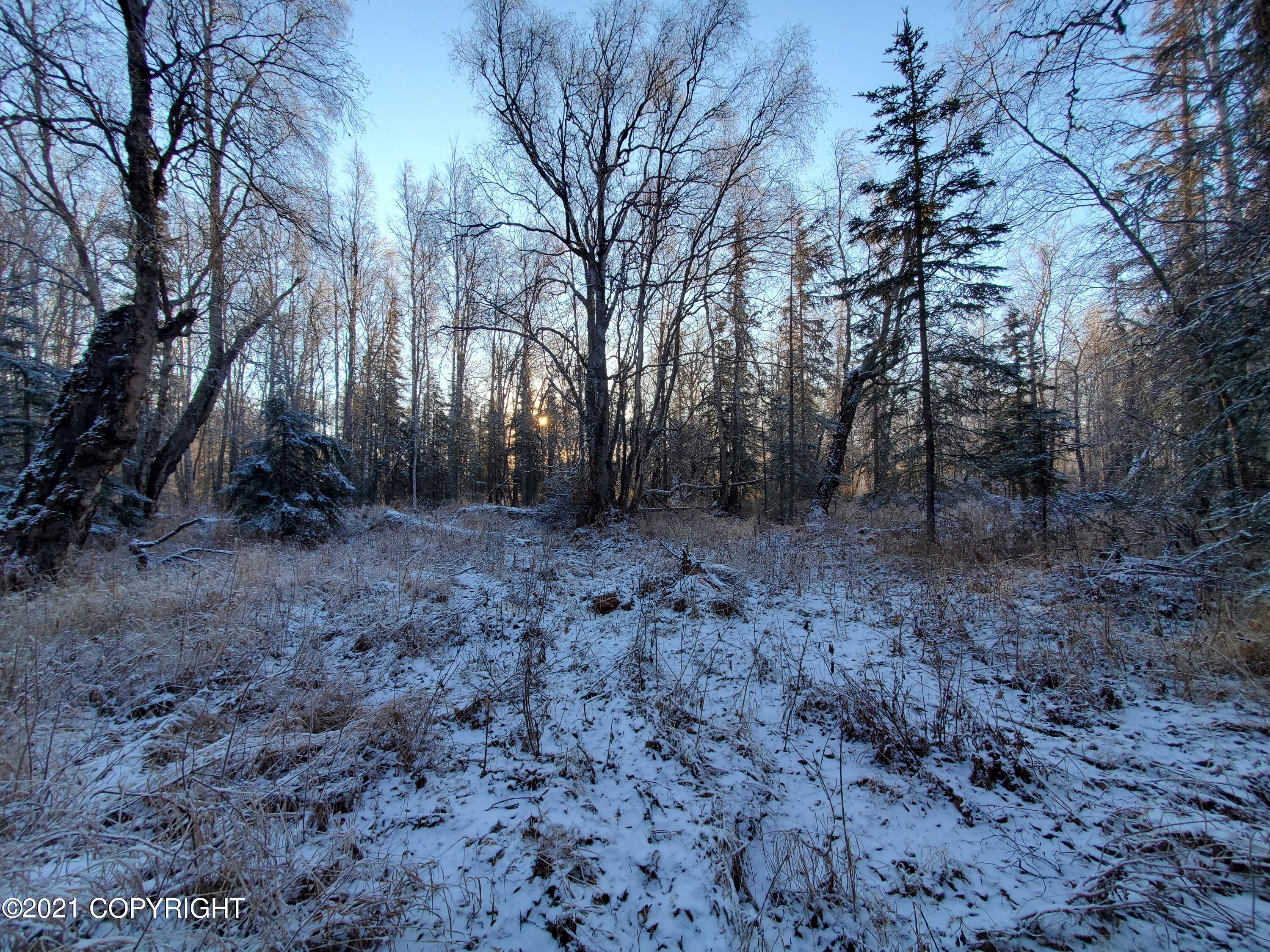 15701 E Clark Road Property Photo 22