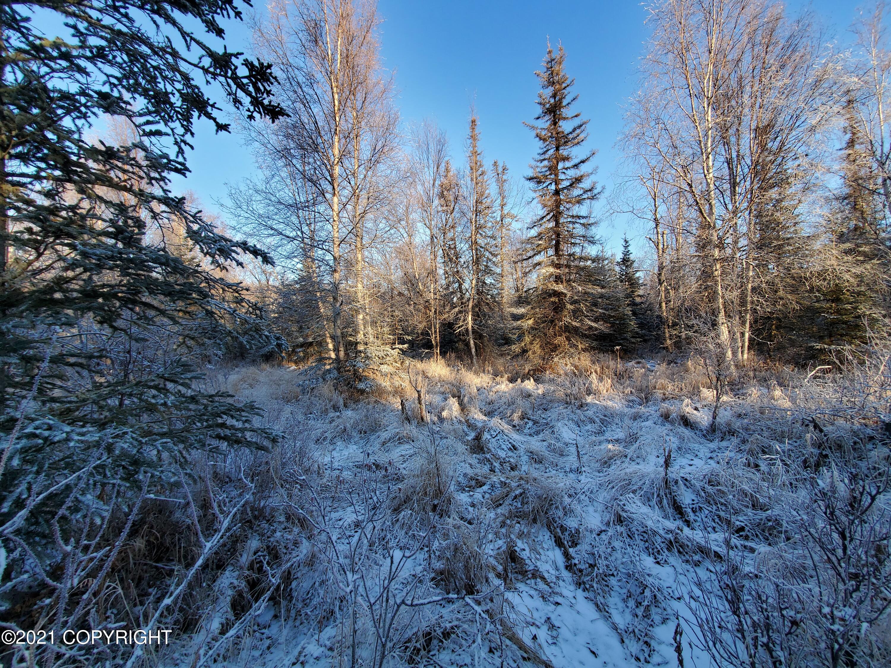 15701 E Clark Road Property Photo 23