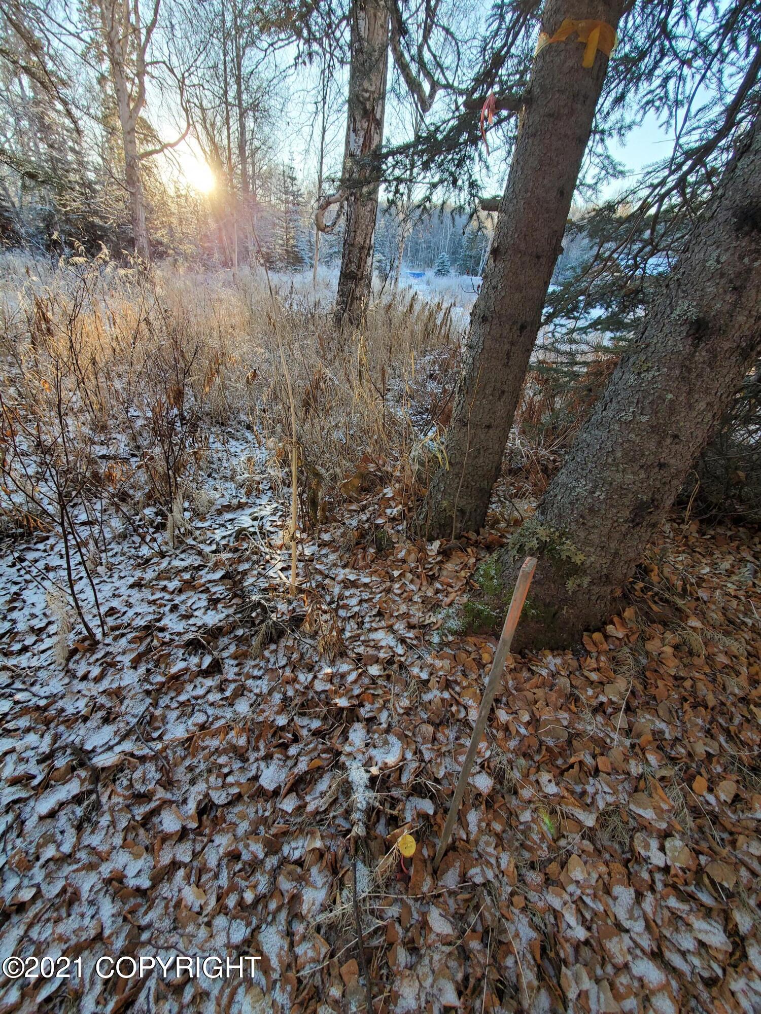 15701 E Clark Road Property Photo 24