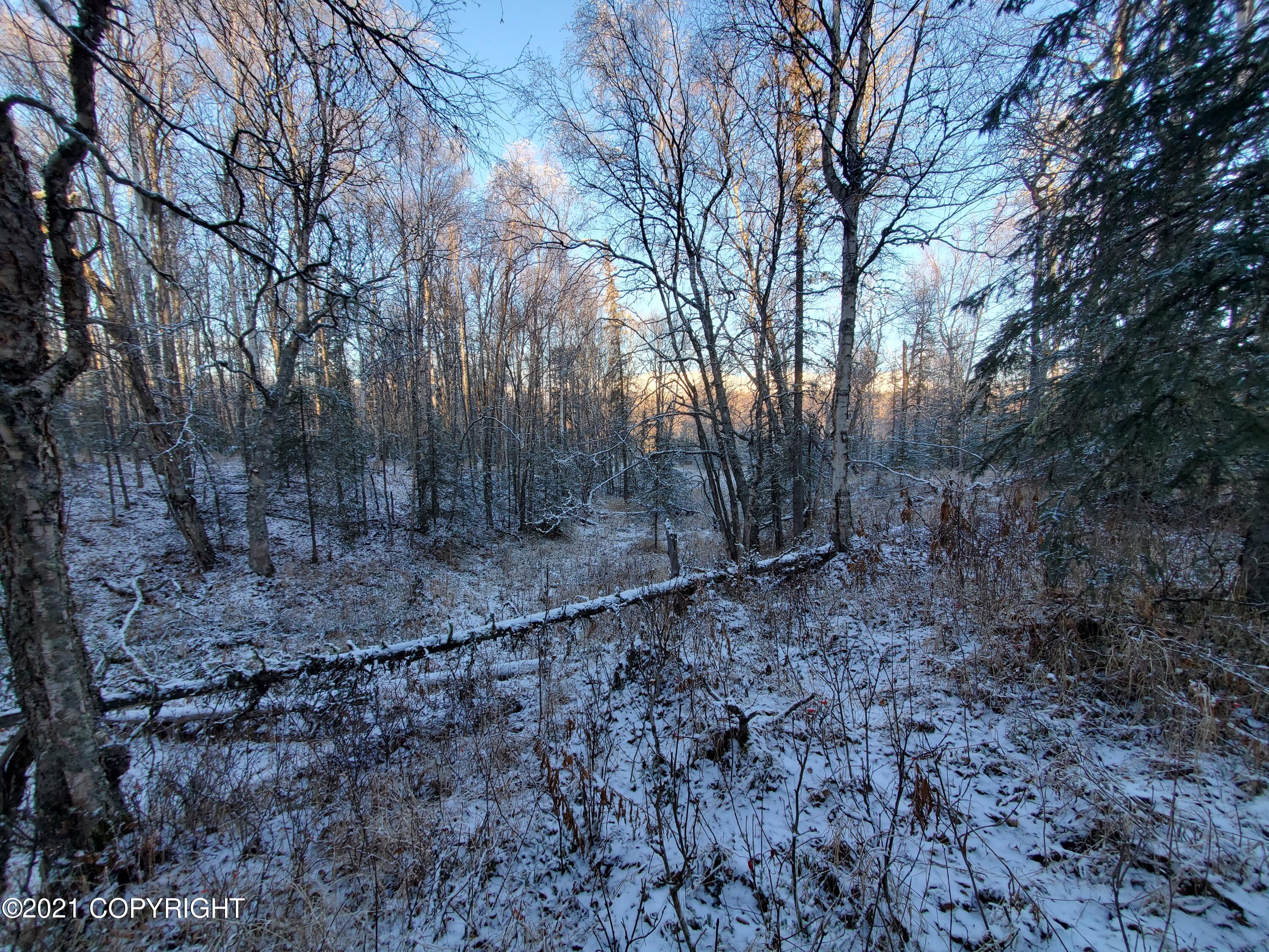 15701 E Clark Road Property Photo 25