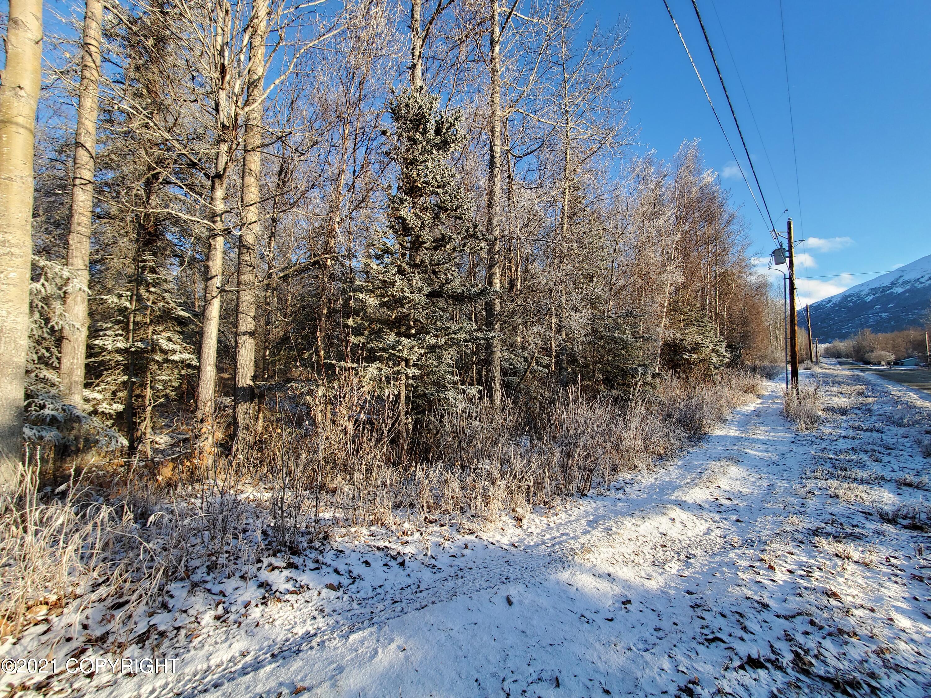 15701 E Clark Road Property Photo 26
