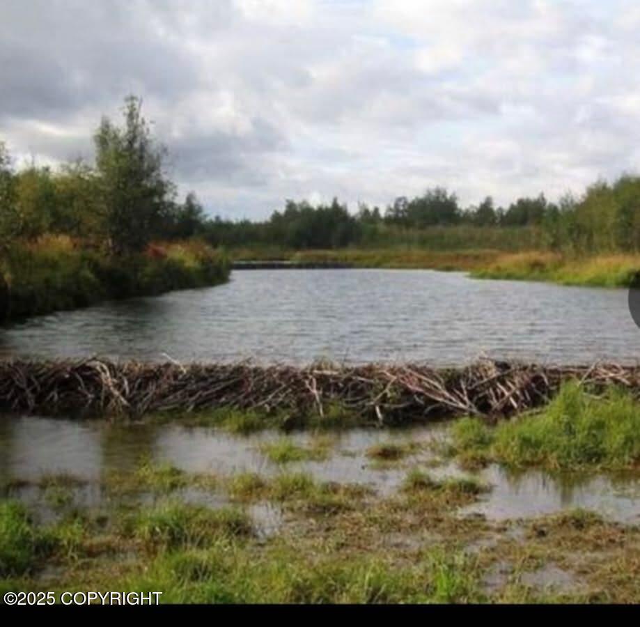 Uss #2354 Aniak River Property Photo 3
