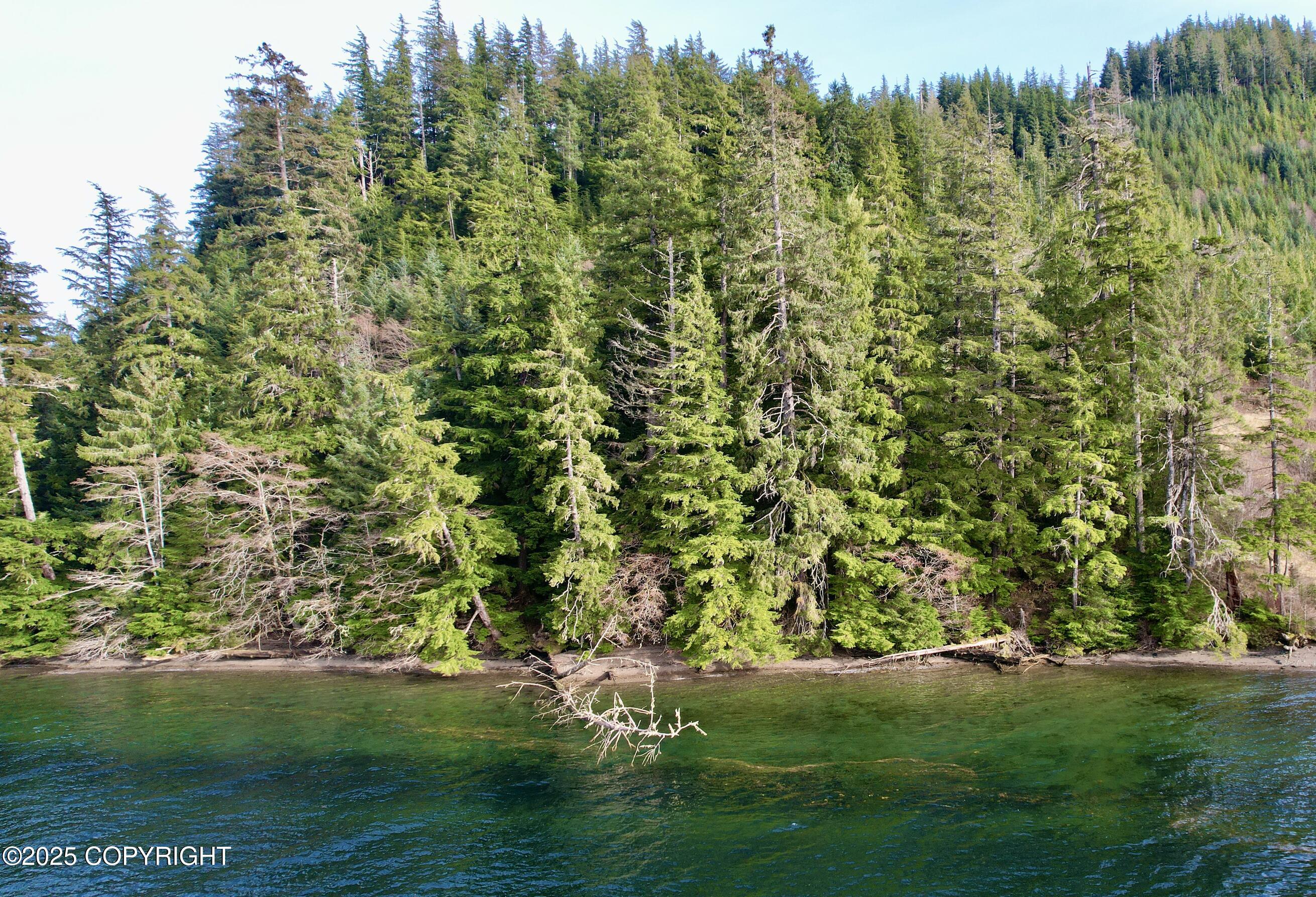 9.2 Mile Port Saint Nicholas Rd Property Photo 4