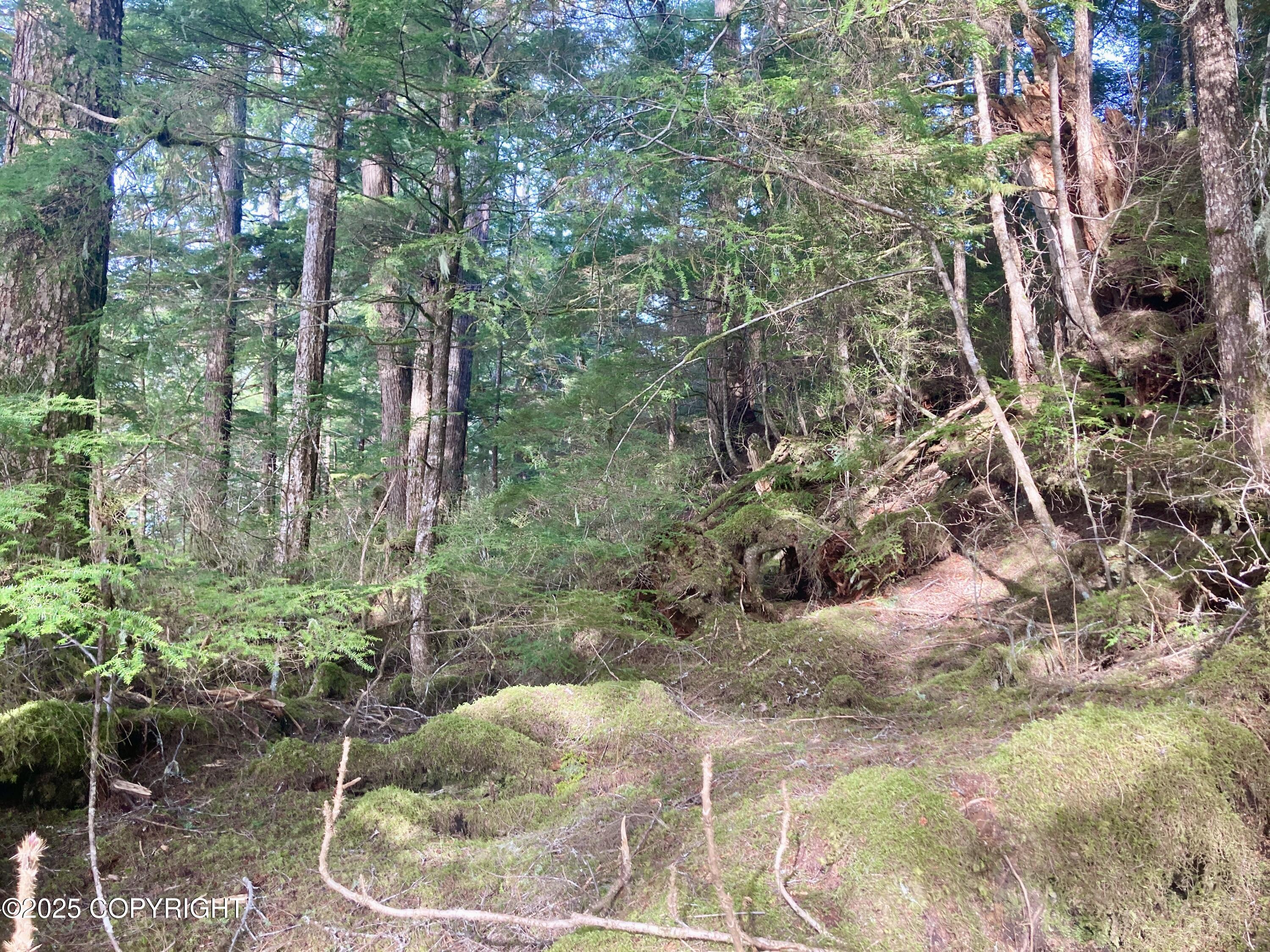 9.2 Mile Port Saint Nicholas Rd Property Photo 14
