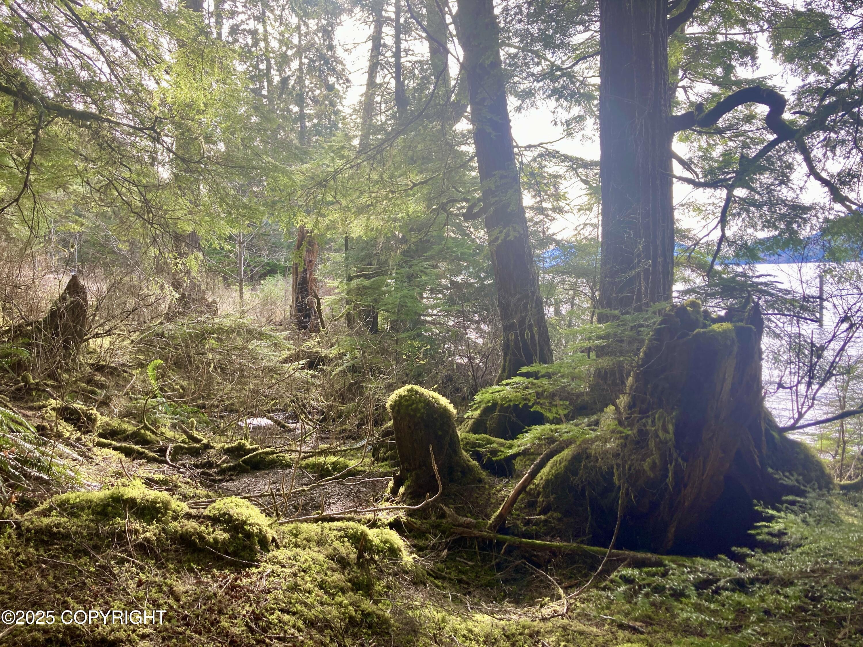 9.2 Mile Port Saint Nicholas Rd Property Photo 15