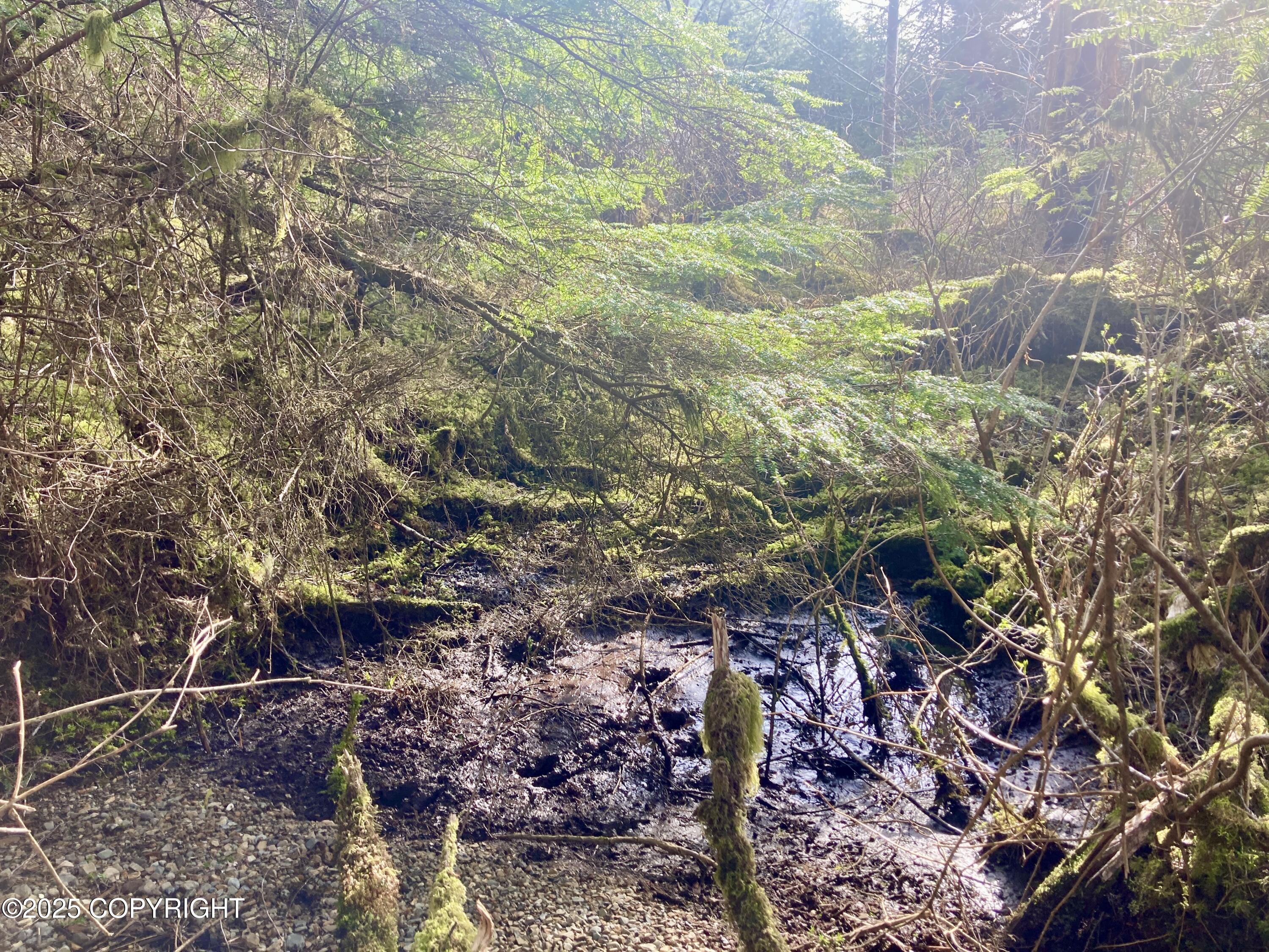 9.2 Mile Port Saint Nicholas Rd Property Photo 19