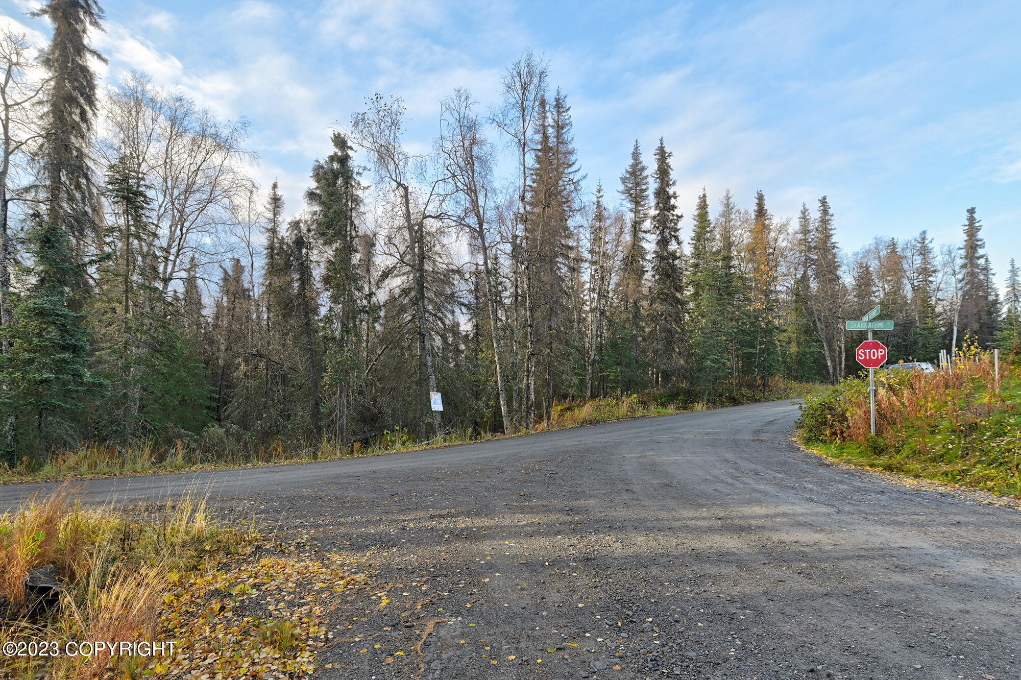 43701 Sterling Highway Property Photo 13