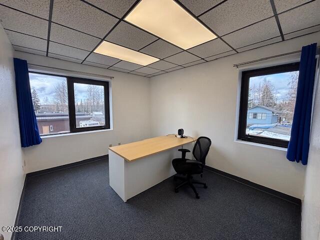 6901 Debarr Road #202 Property Photo 5