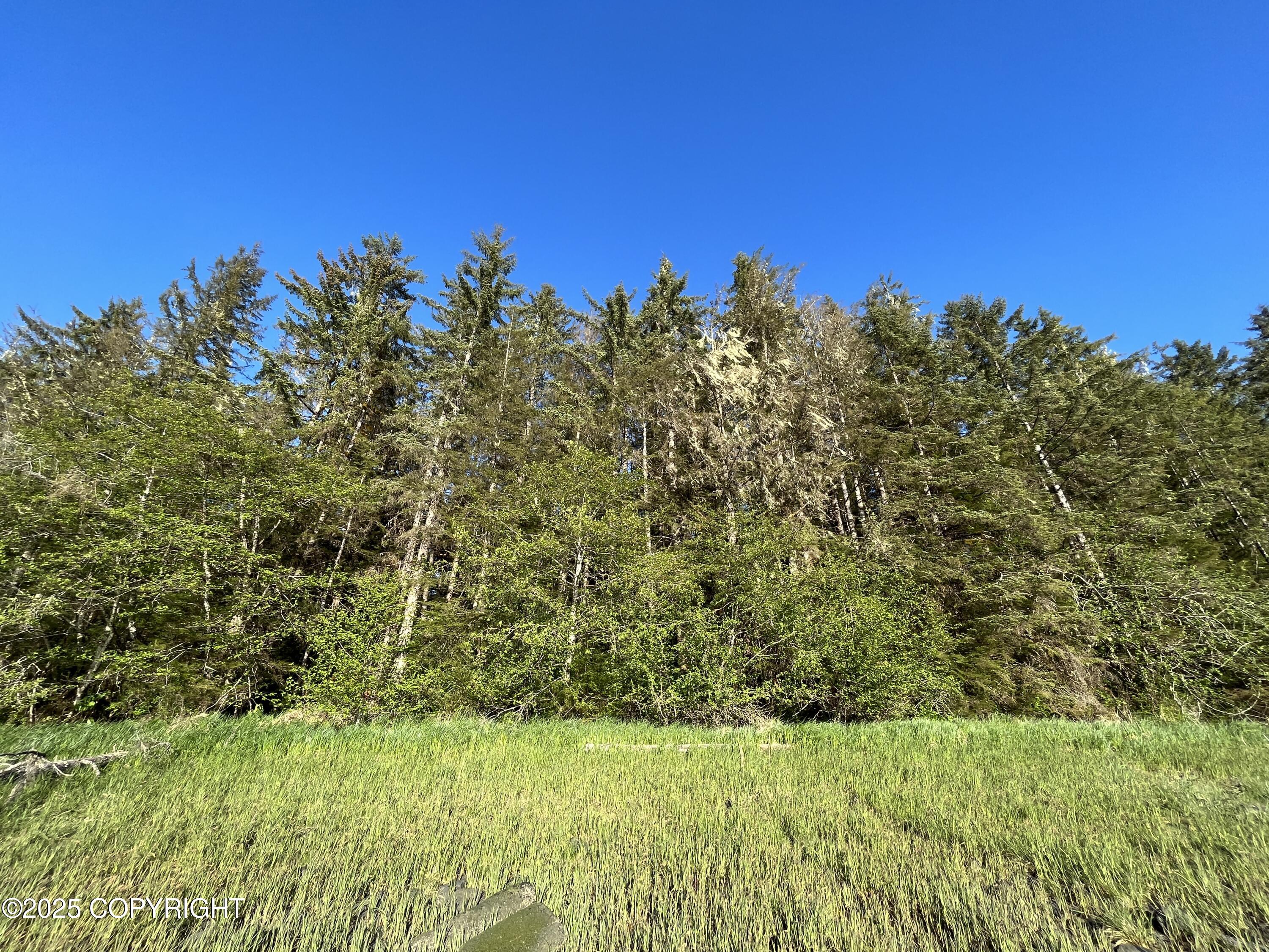 54 Blueberry Lane Property Photo 6