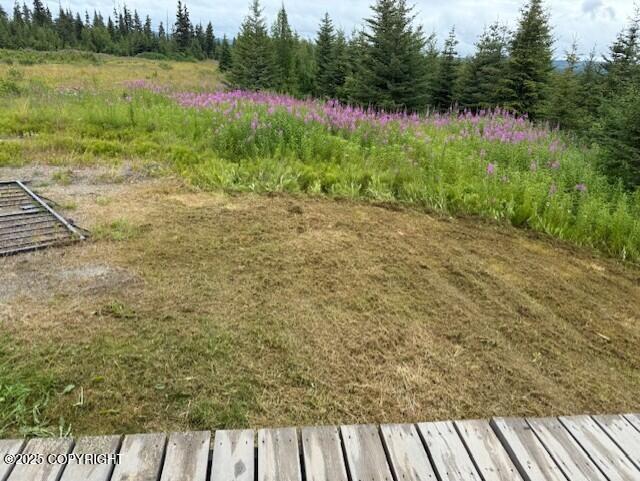 31580 Hannah Rene Road Property Photo 15