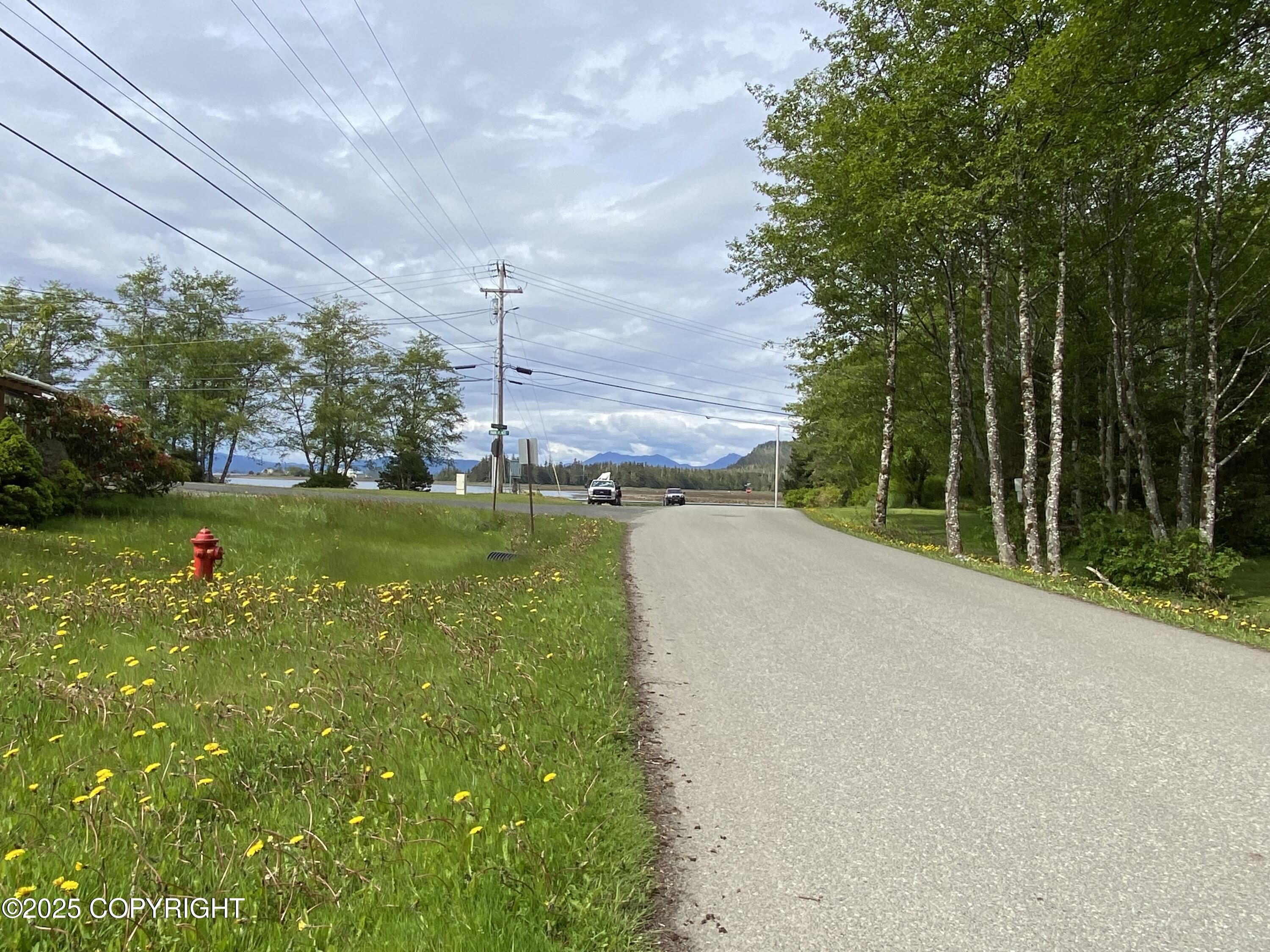 1906 Hamilton Drive Property Photo 20