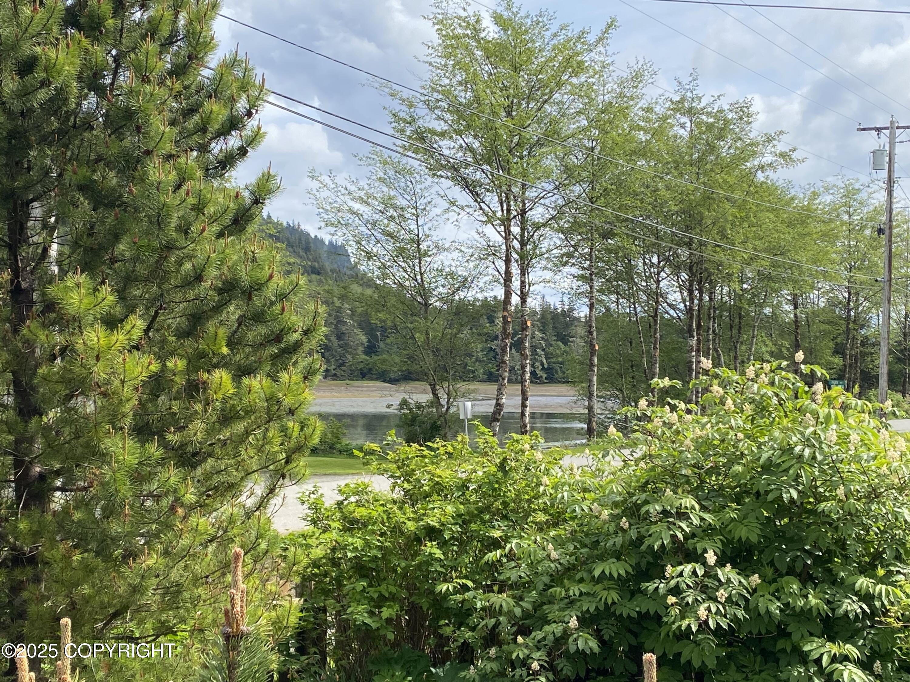 1906 Hamilton Drive Property Photo 22