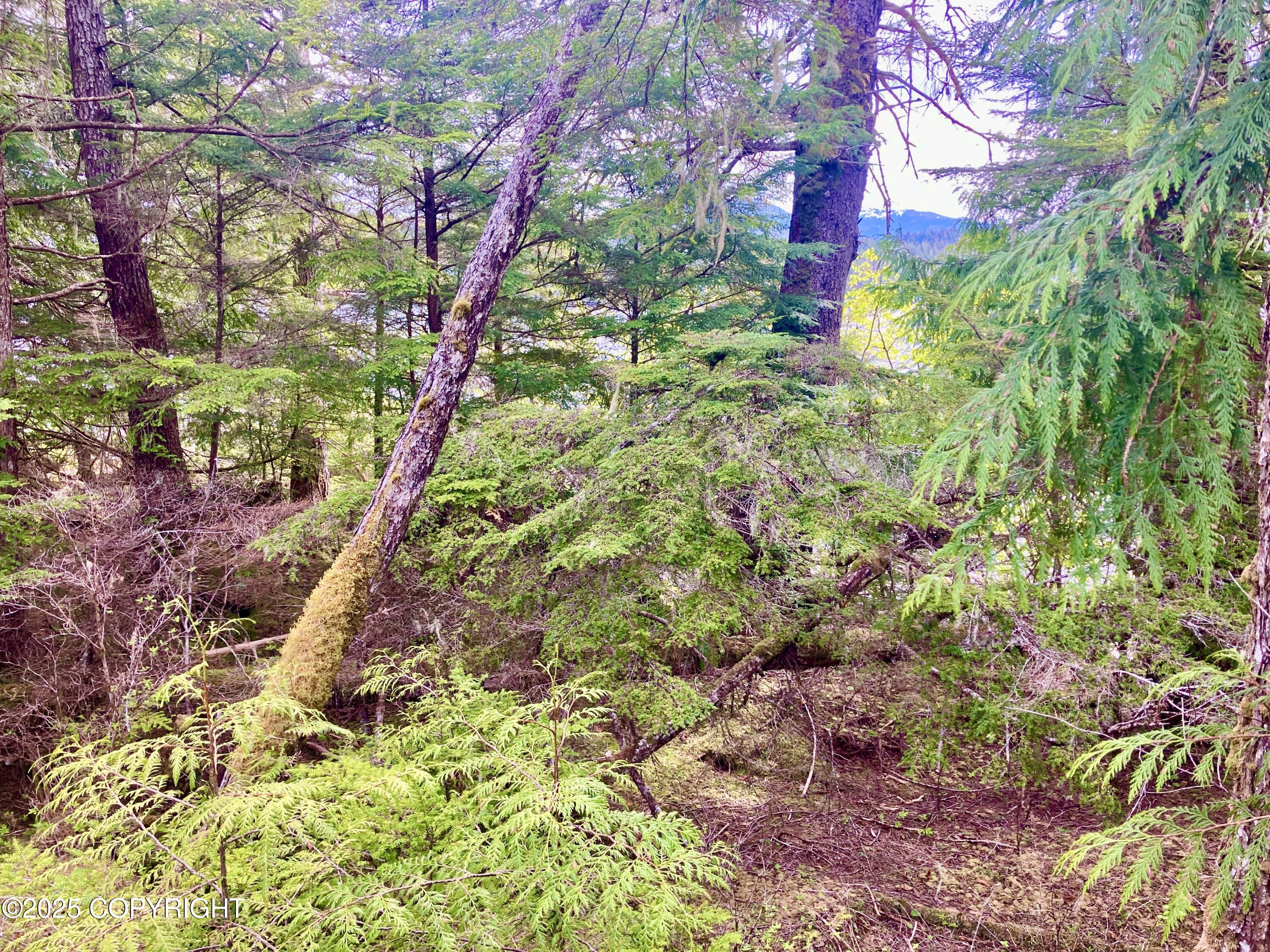 L3 Wadleigh North Property Photo 11