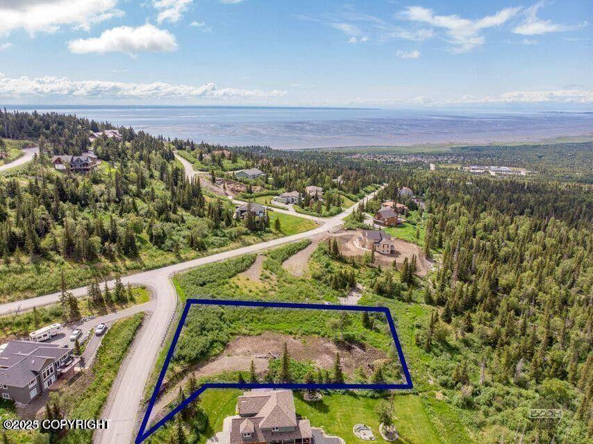 16074 Mountain Air Drive Property Photo 6