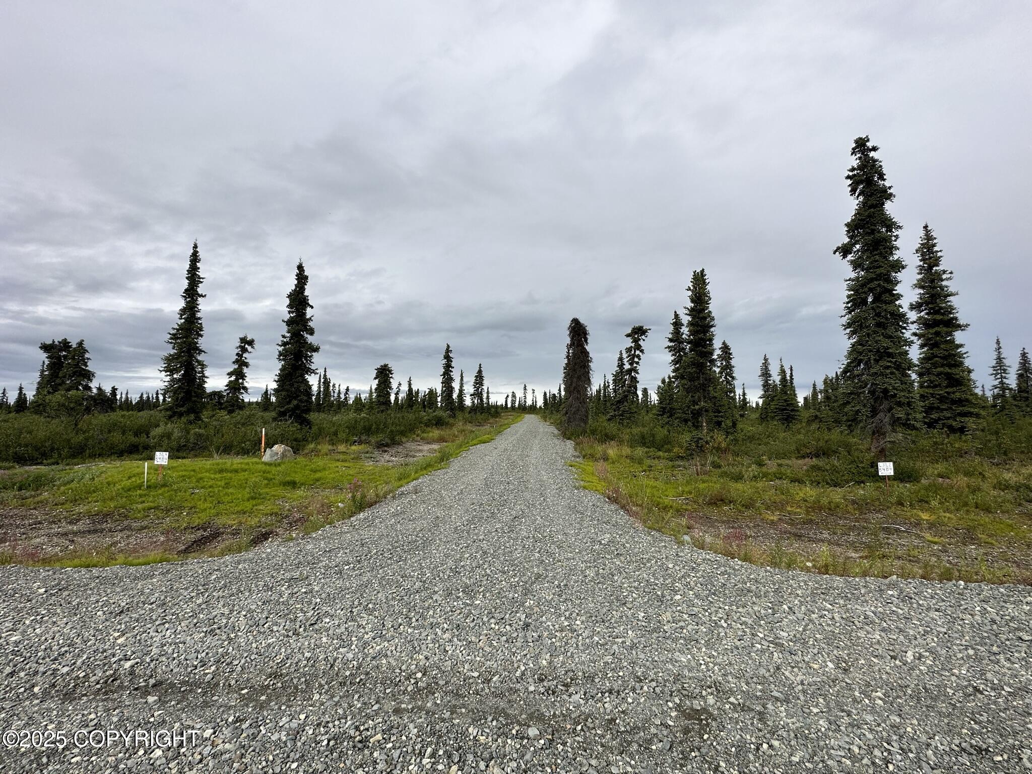 49486 S Timberwolf Road Property Photo 4