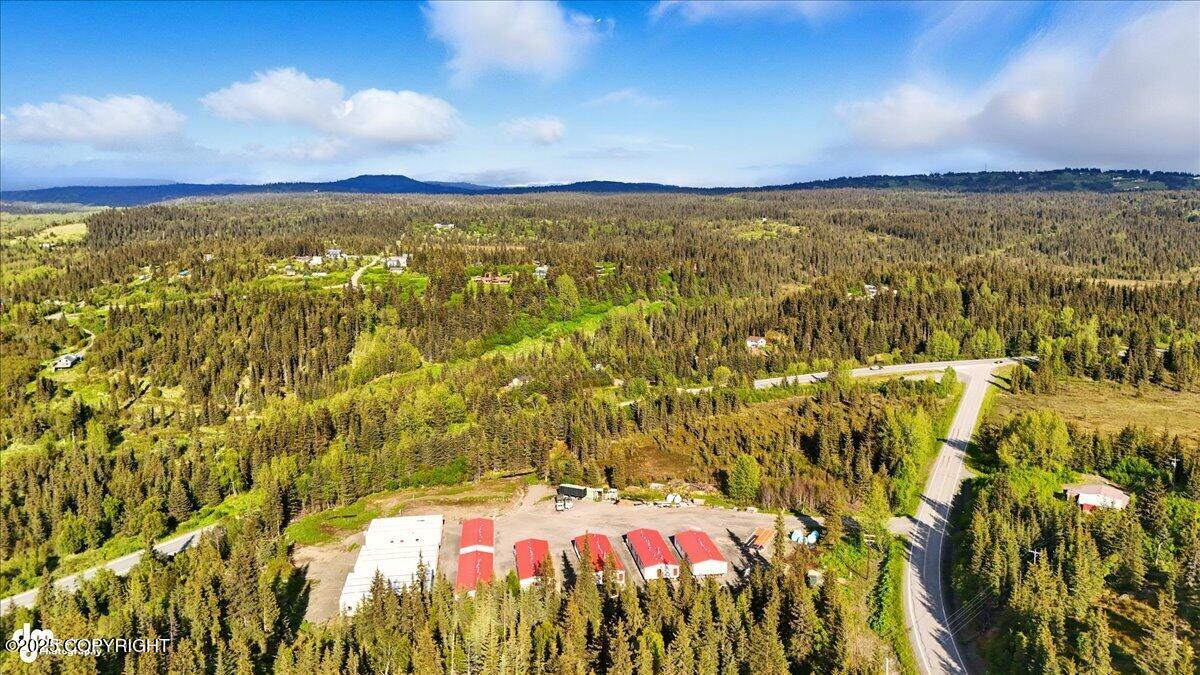 42706 Old Sterling Highway Property Photo 3