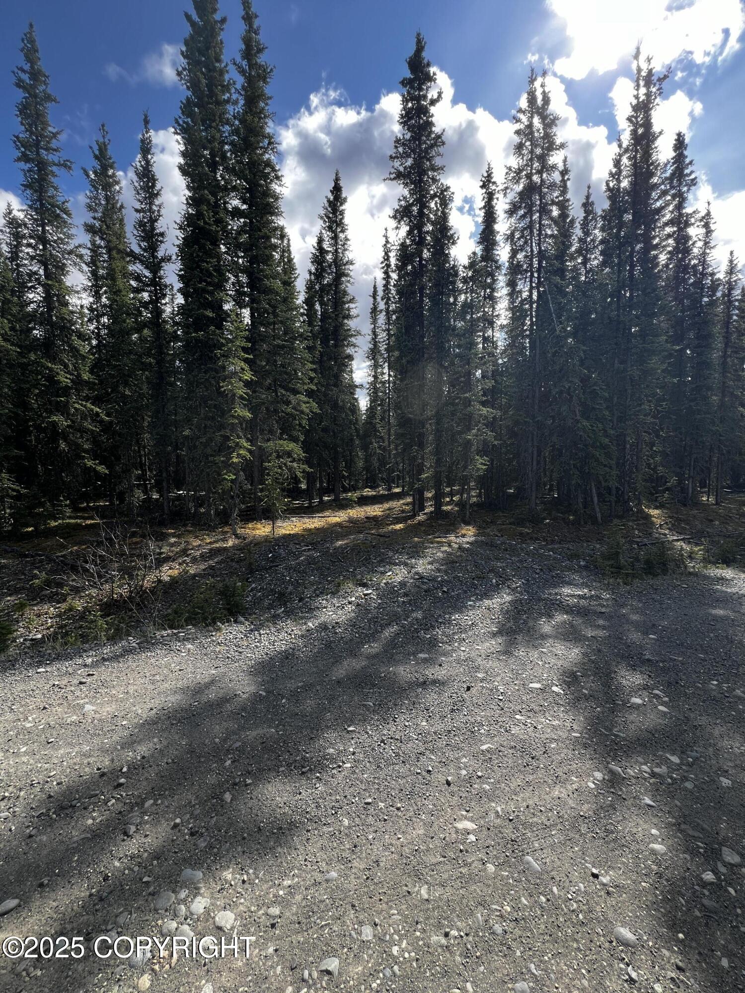 1h Alaska Highway Property Photo 1