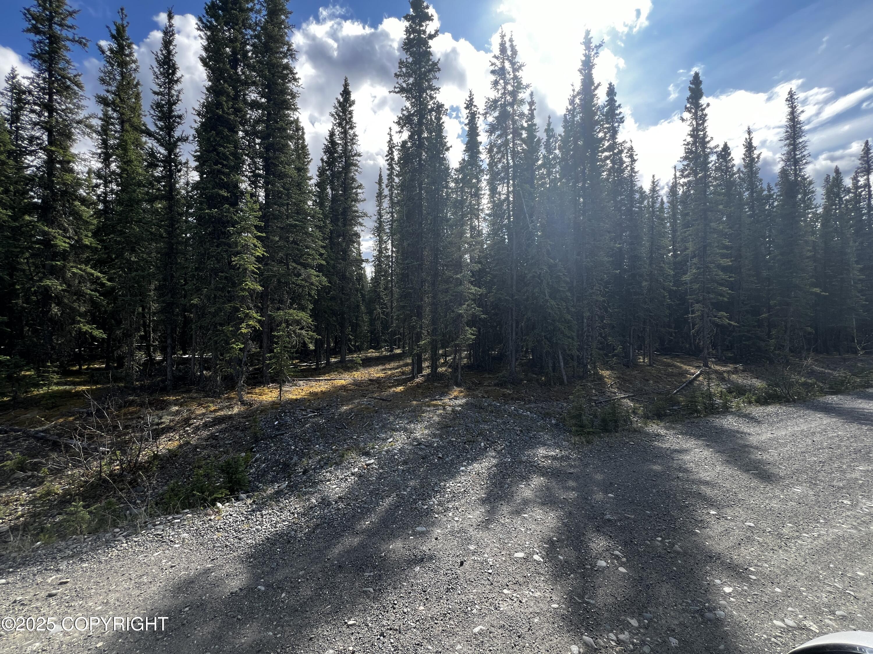 1h Alaska Highway Property Photo 2