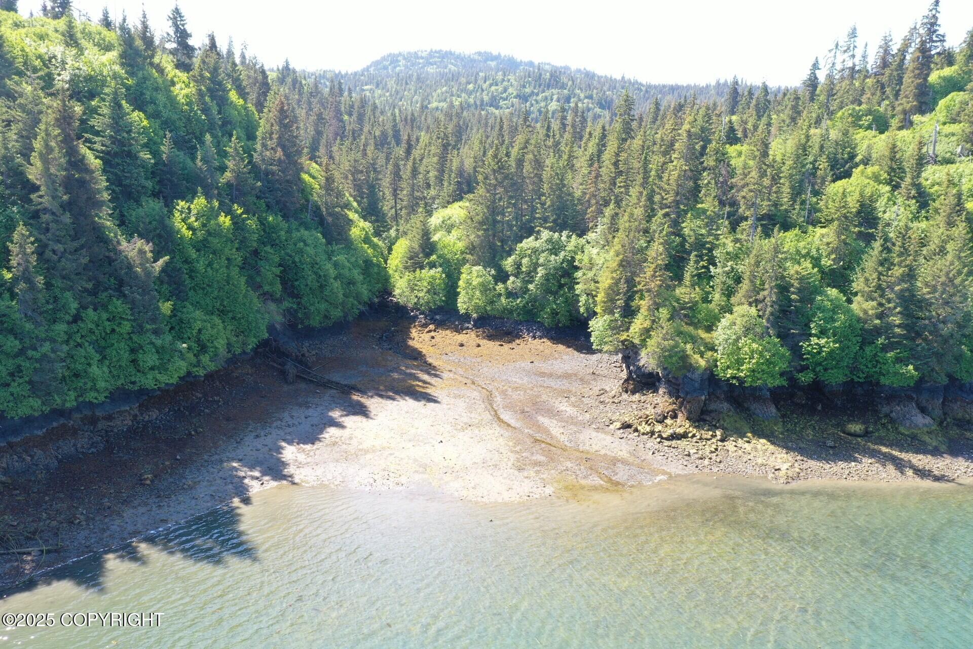 000 Halibut Cove Property Photo 1
