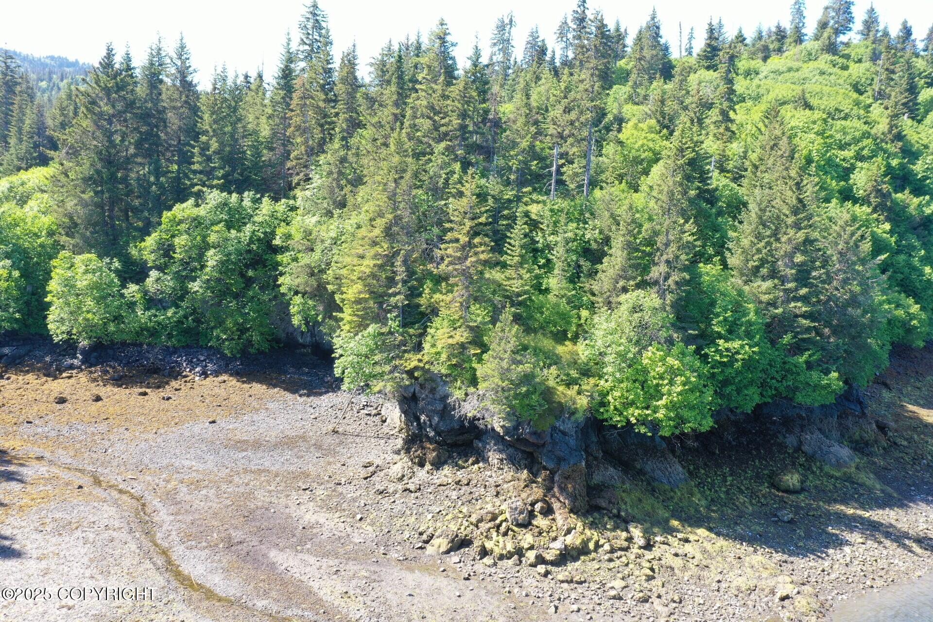 000 Halibut Cove Property Photo 4