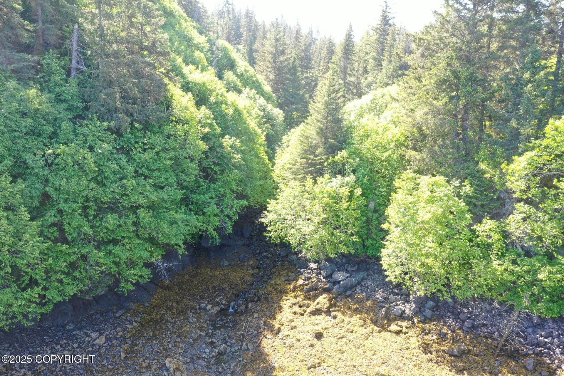 000 Halibut Cove Property Photo 5