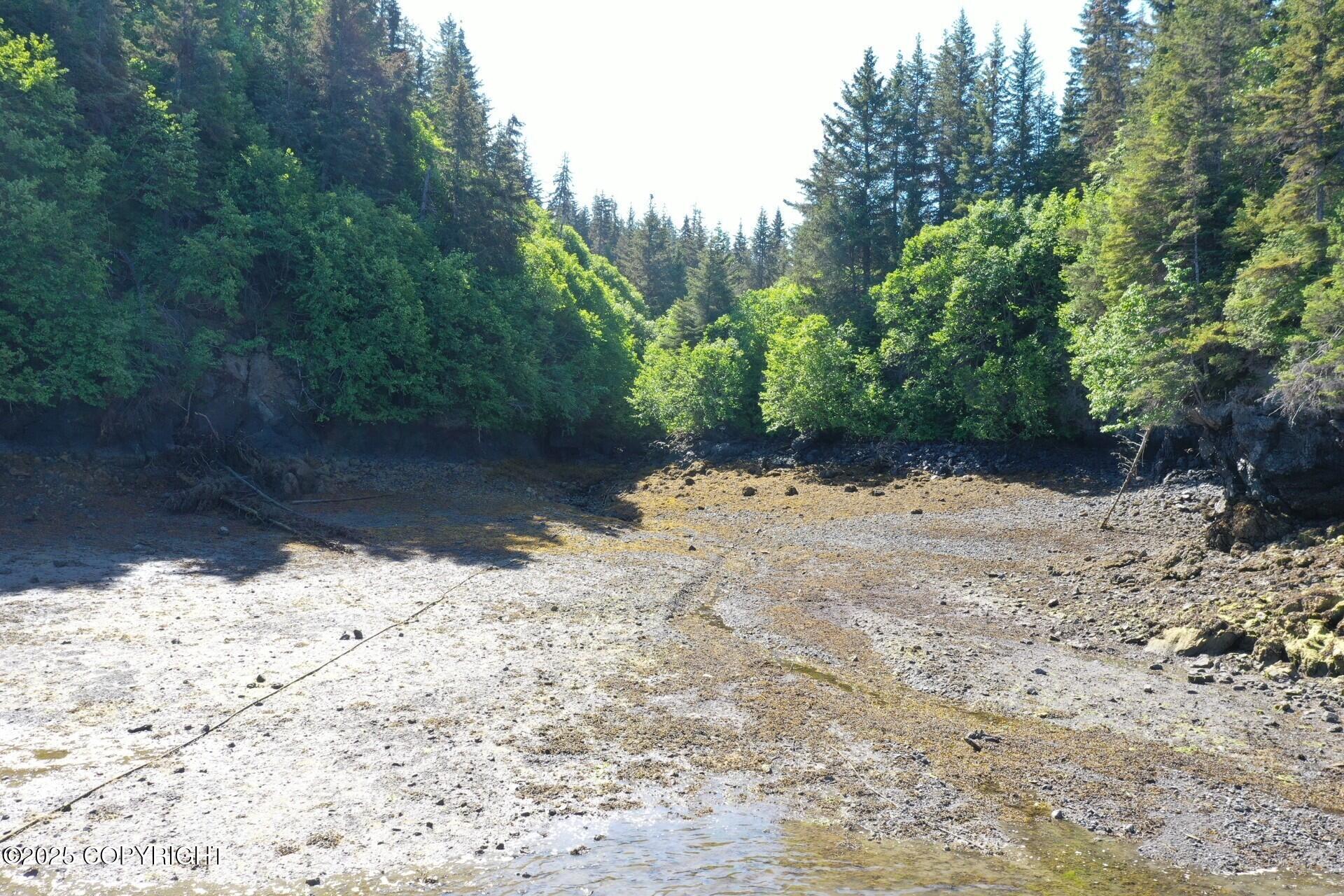 000 Halibut Cove Property Photo 6