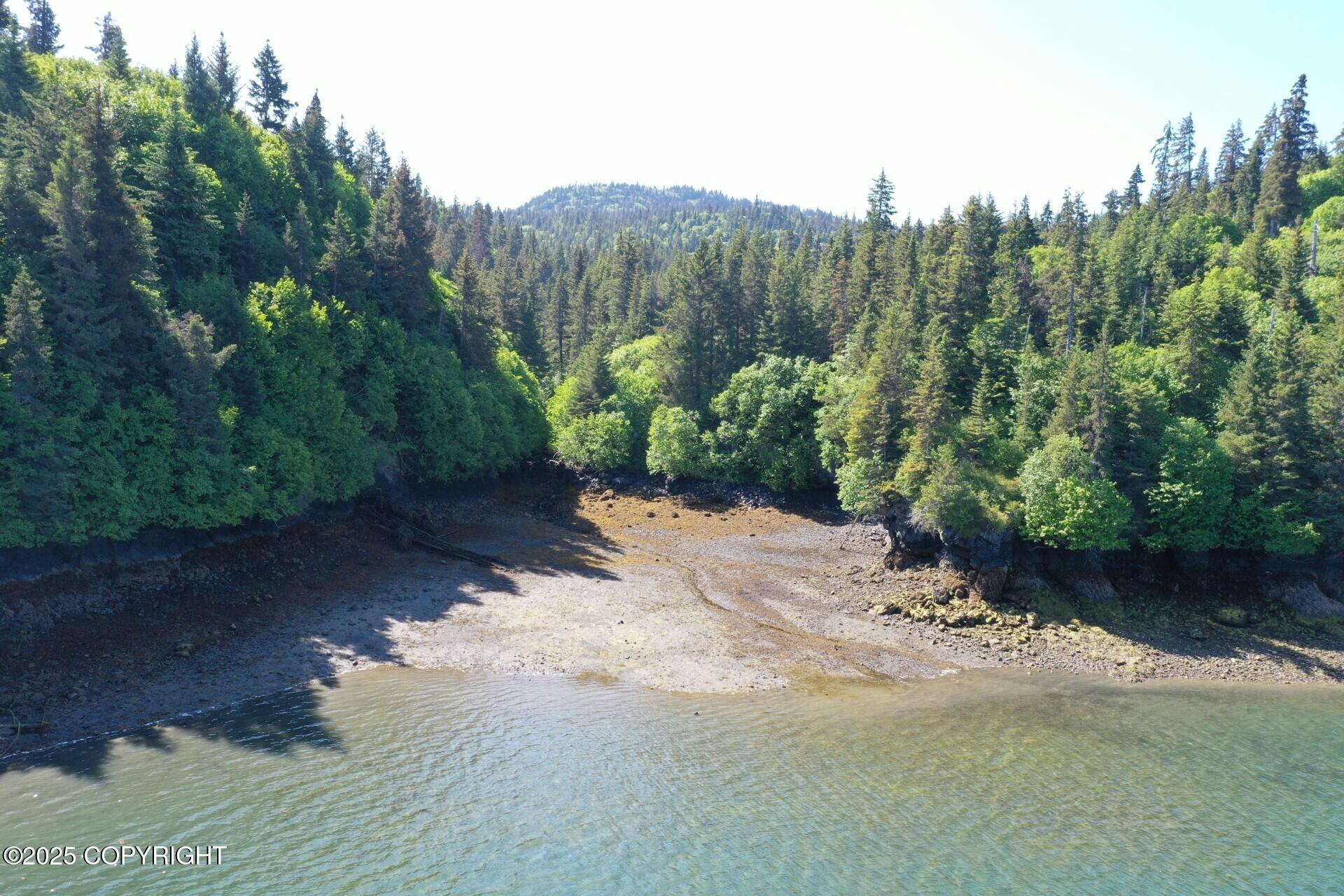 000 Halibut Cove Property Photo 8