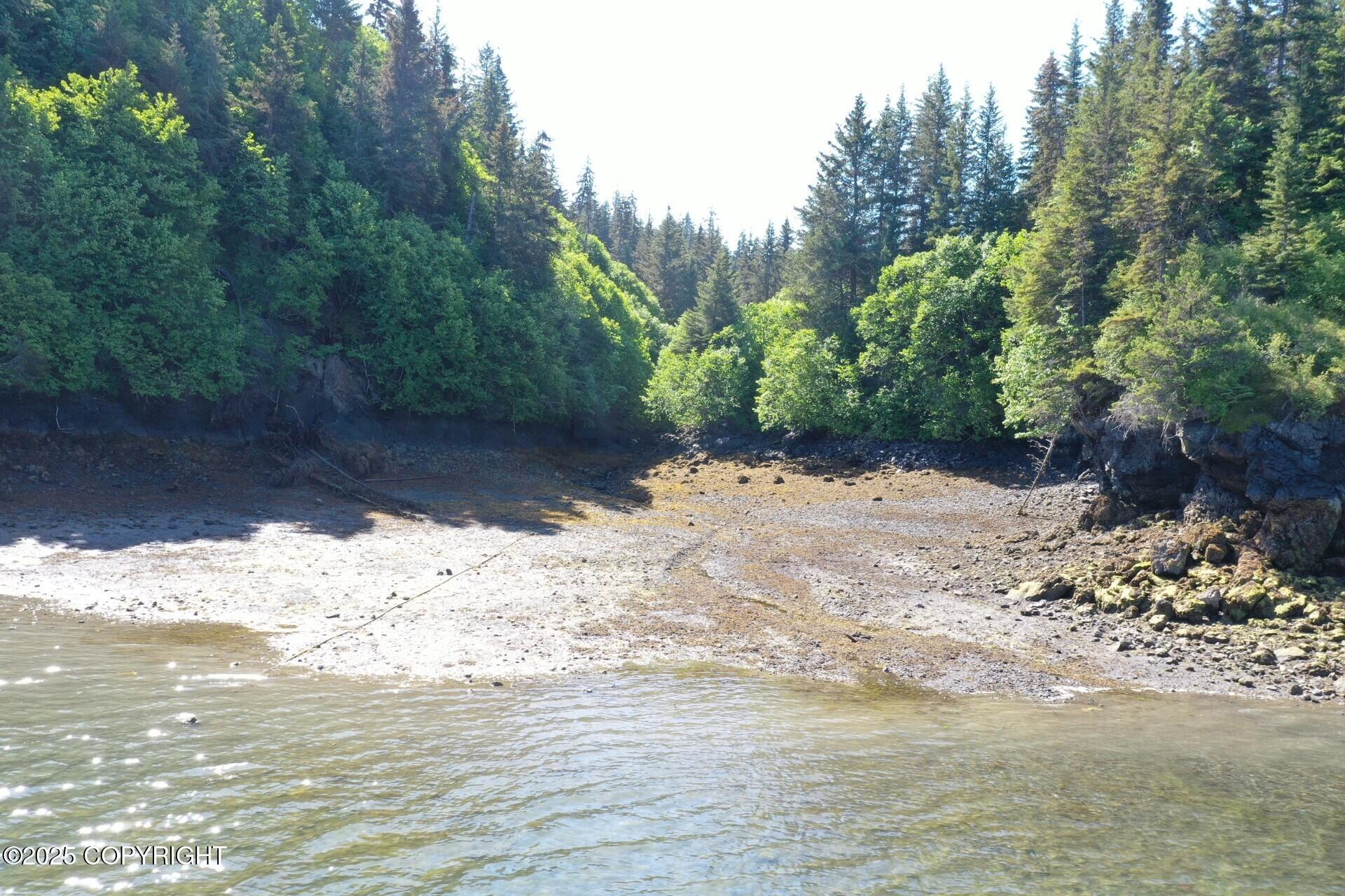 000 Halibut Cove Property Photo 9