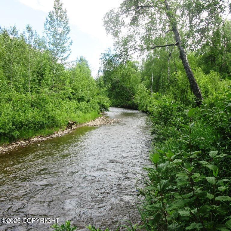 Tr G W Parks Highway Property Photo 1