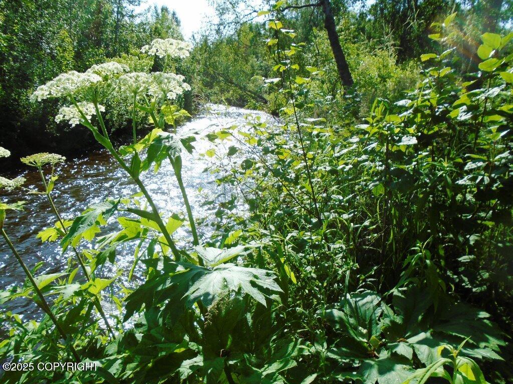 Tr G W Parks Highway Property Photo 3