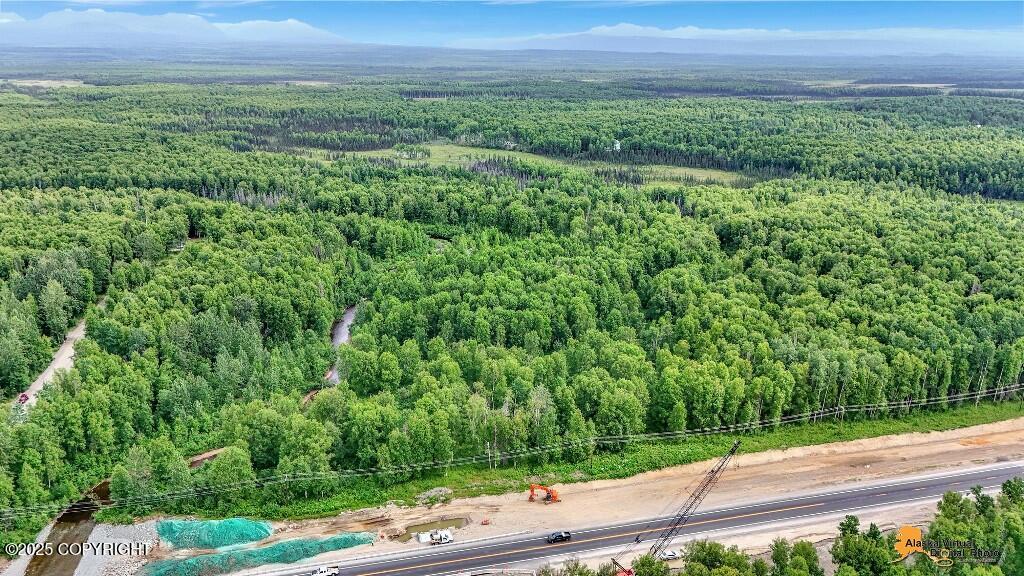 Tr G W Parks Highway Property Photo 11