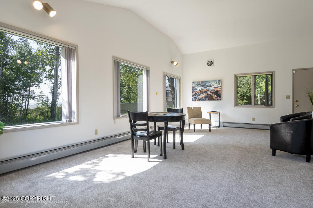 15021 Old Seward Highway Property Photo 19