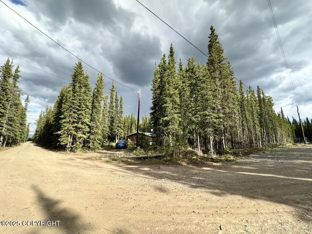 000 Sourdough Drive Property Photo 3