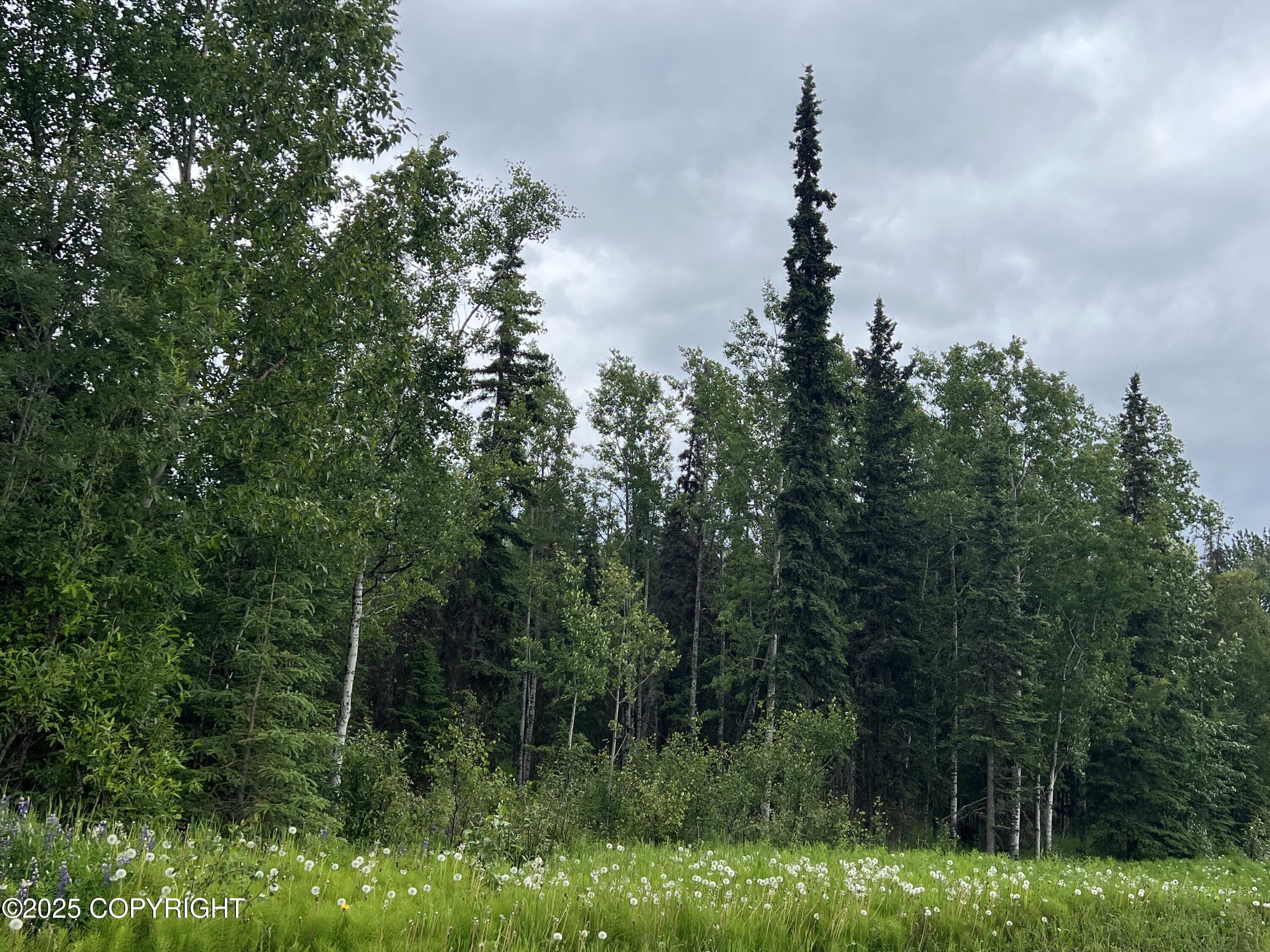 5744 Kenai Spur Highway Property Photo 3