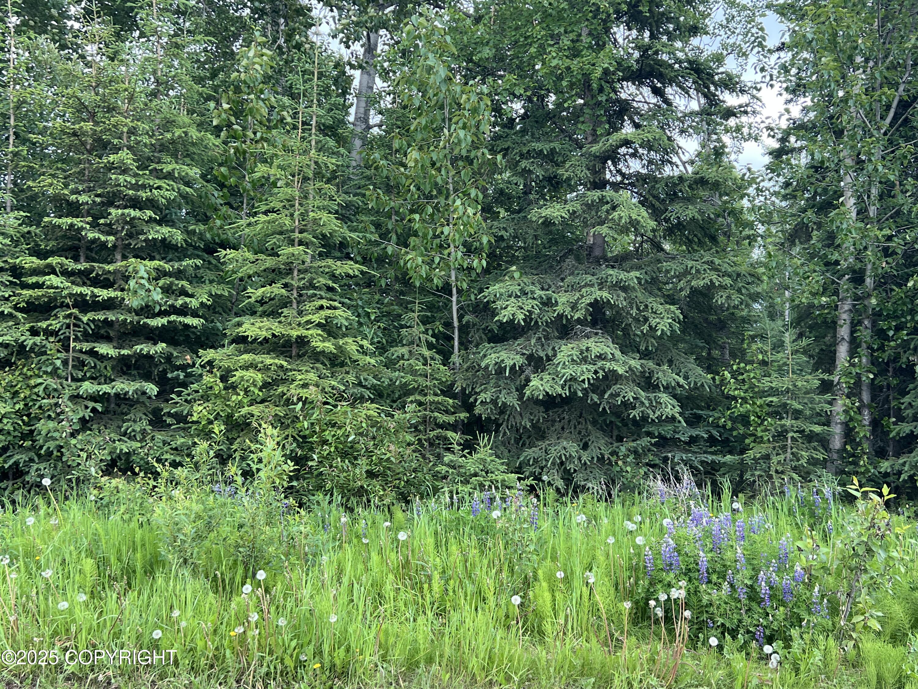 5744 Kenai Spur Highway Property Photo 4