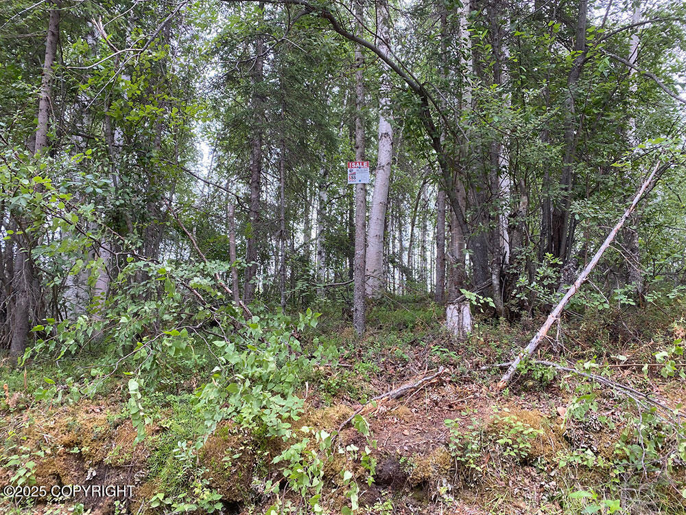 46497 S Fishermans Hop Road Property Photo 24