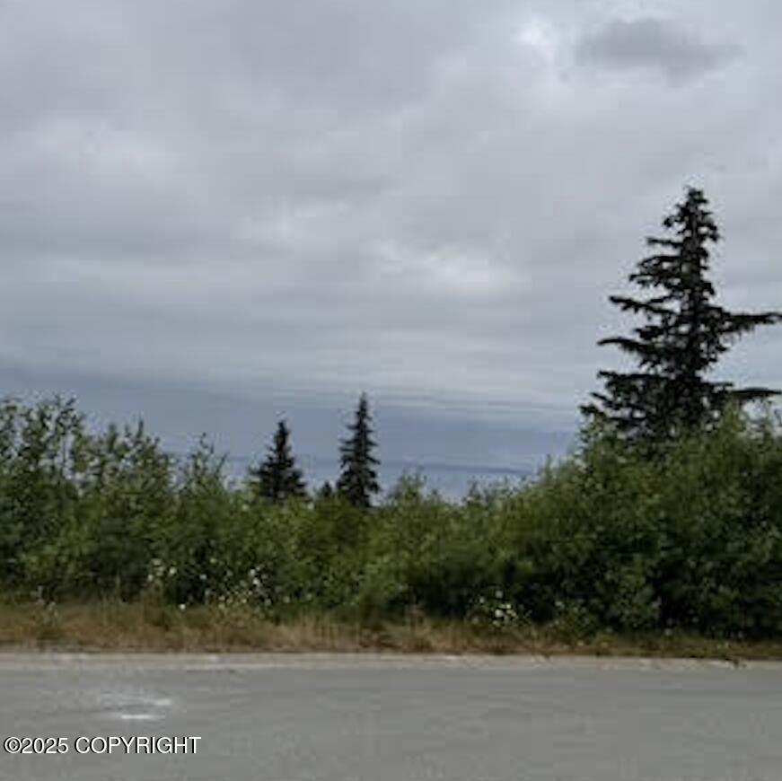 18936 Scenic Hill Drive Property Photo 1