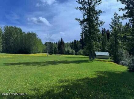 Mi 44.5 Mccarthy Road Property Photo 42