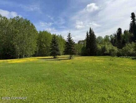 Mi 44.5 Mccarthy Road Property Photo 50